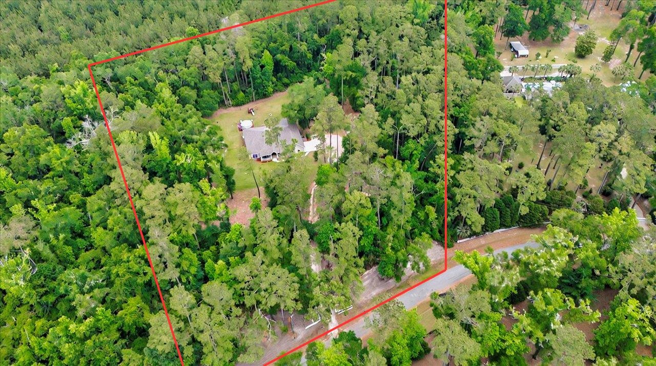 459 Oakwood Trail, Crawfordville, Florida image 2