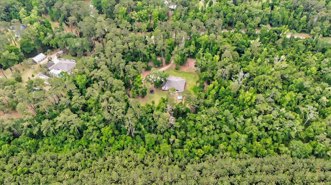 459 Oakwood Trail, Crawfordville, Florida image 40