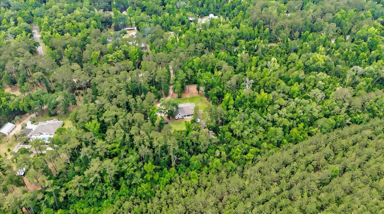 459 Oakwood Trail, Crawfordville, Florida image 41