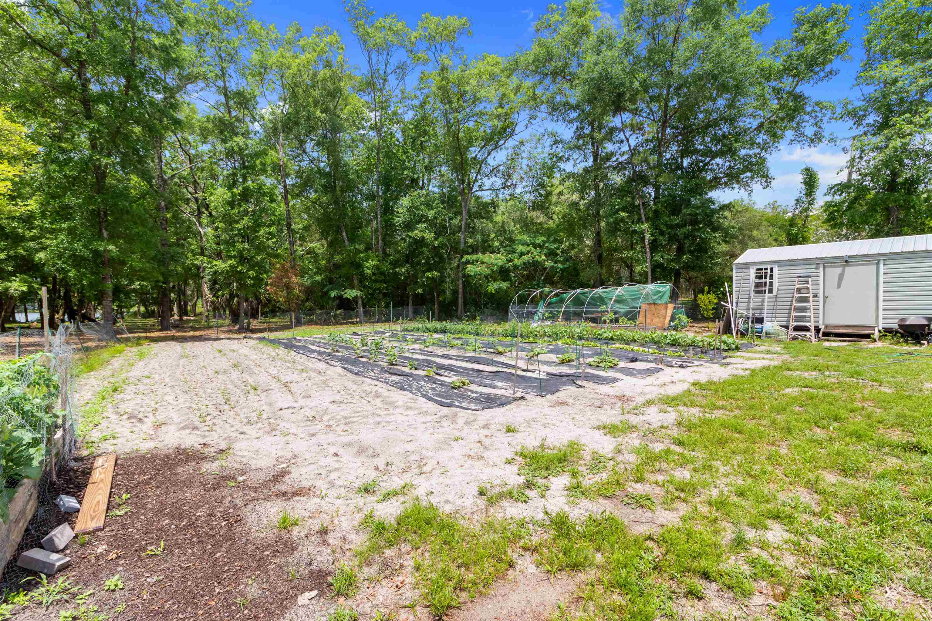 172 Friendship Church Road, Crawfordville, Texas image 21