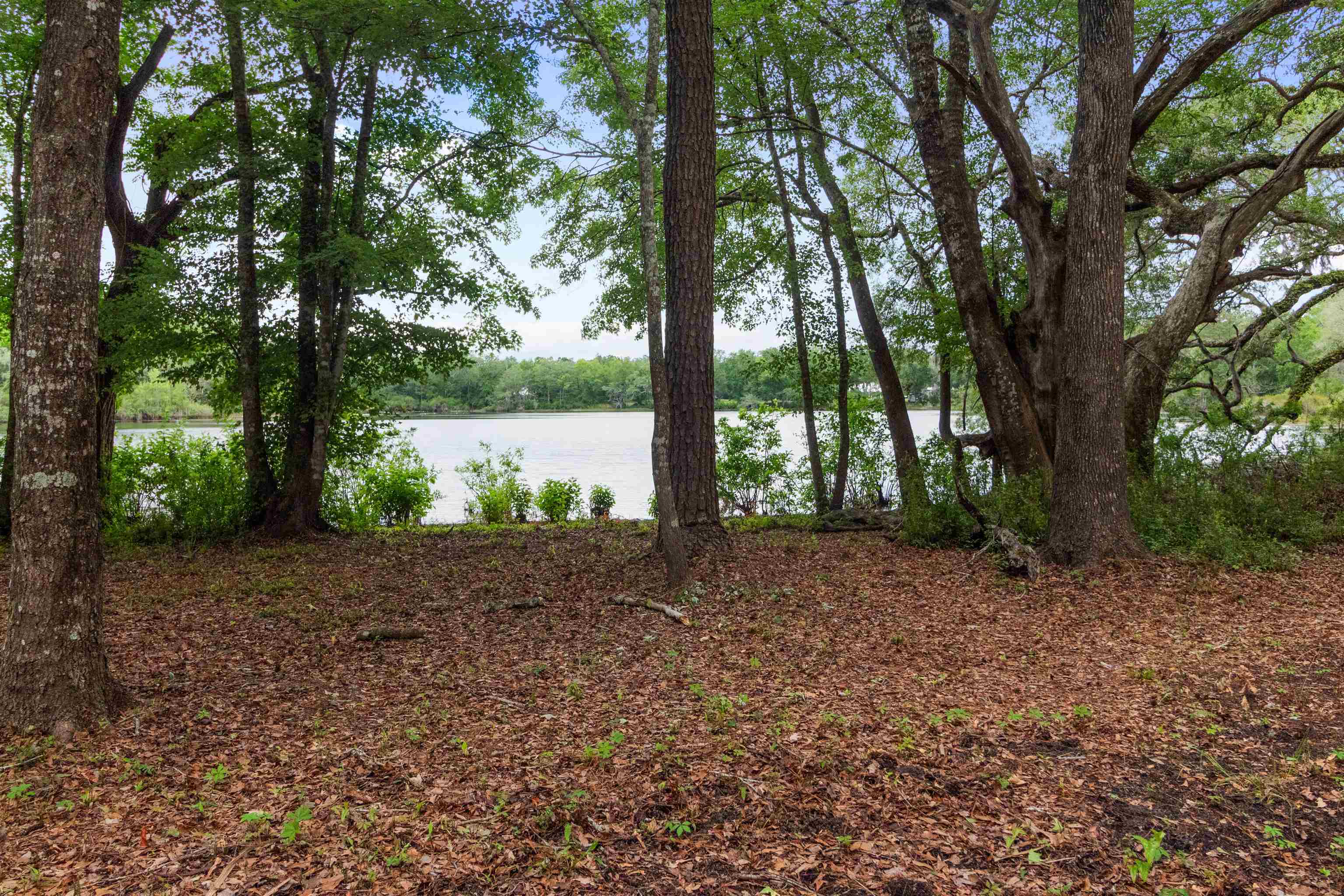 172 Friendship Church Road, Crawfordville, Texas image 23