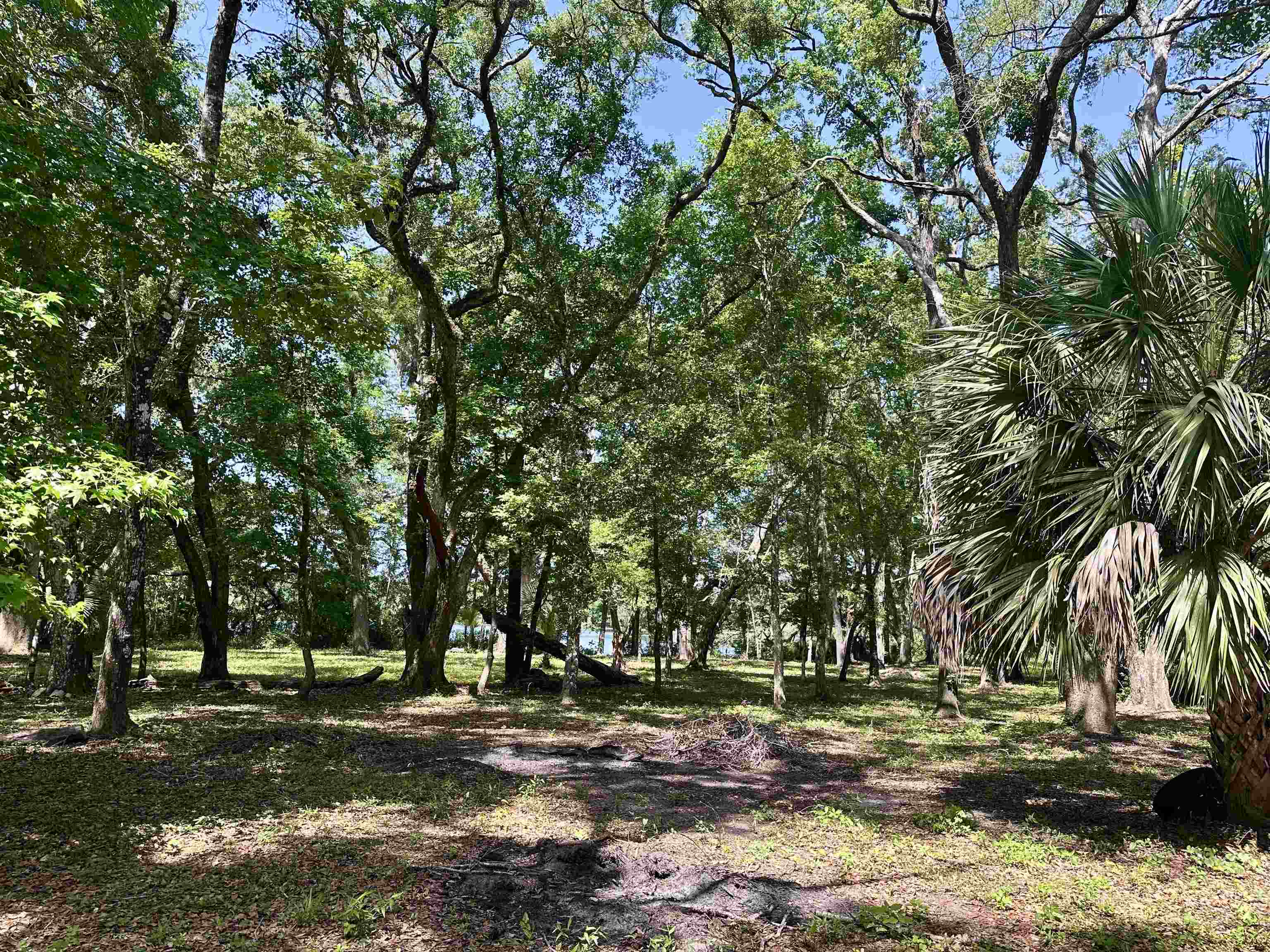 172 Friendship Church Road, Crawfordville, Texas image 32