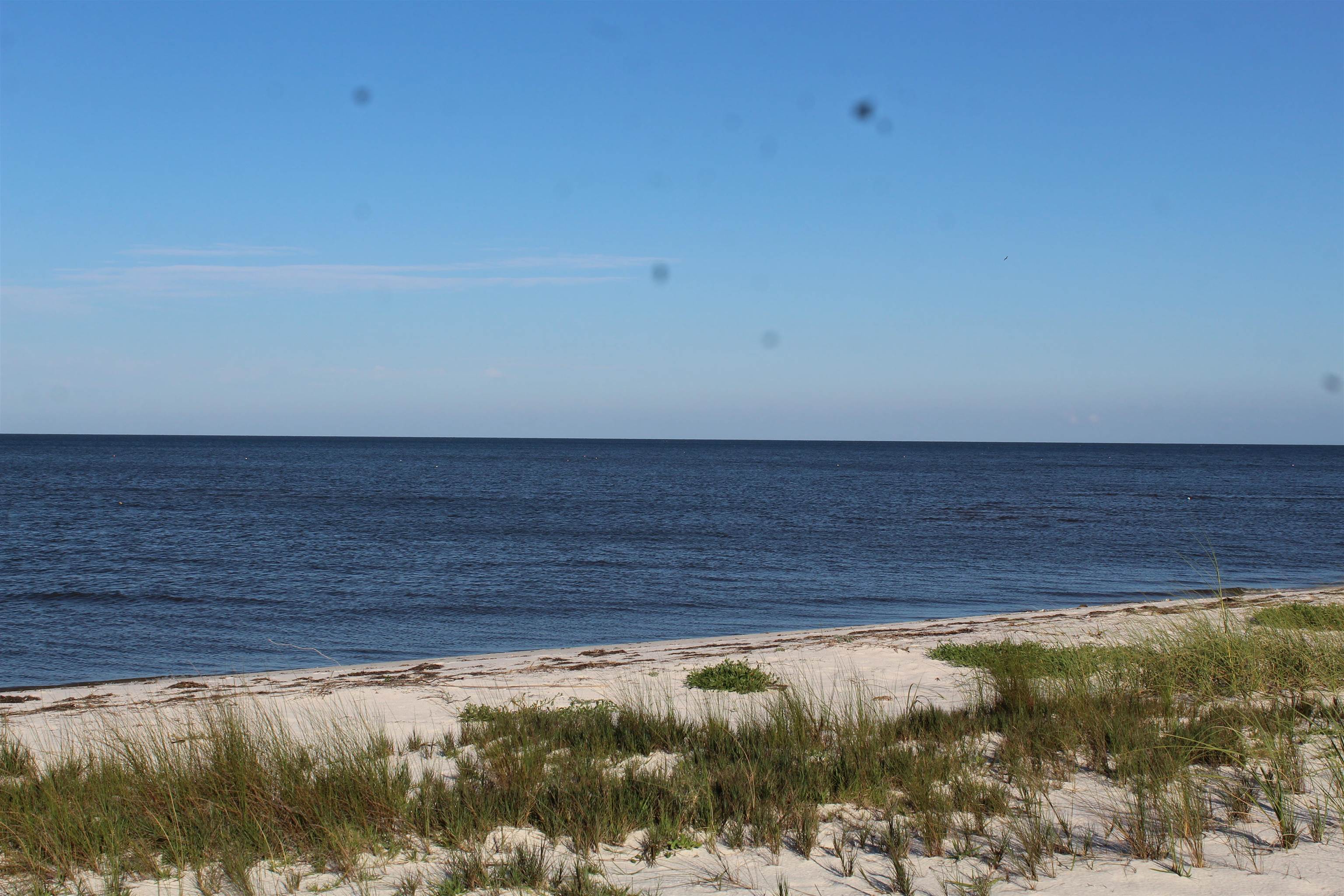 766 Bald Point Road, Alligator Point, Florida image 11