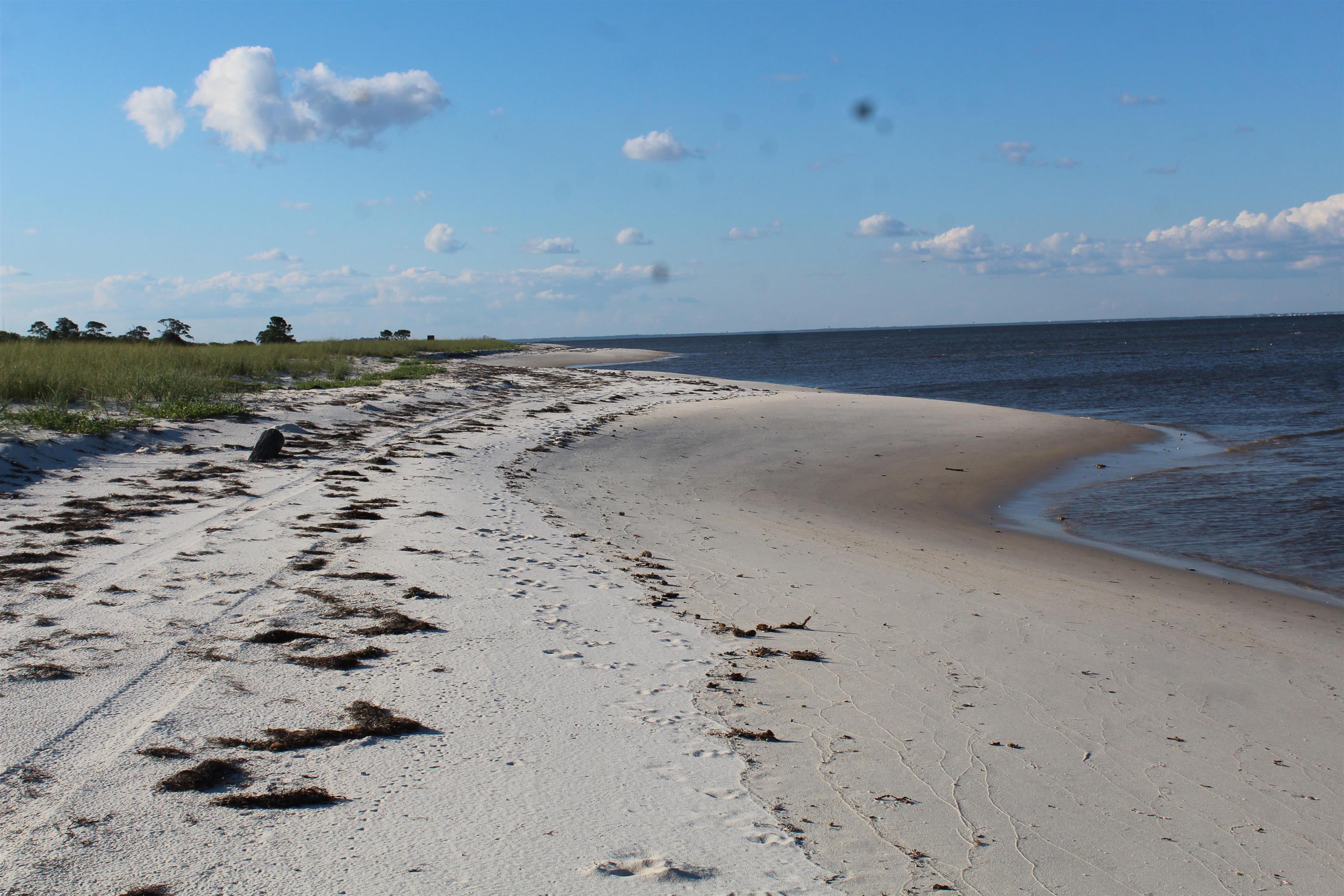 766 Bald Point Road, Alligator Point, Florida image 13