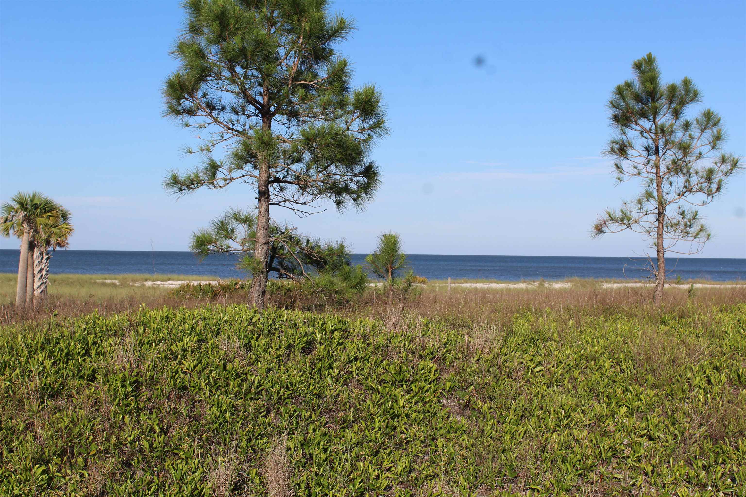 766 Bald Point Road, Alligator Point, Florida image 2