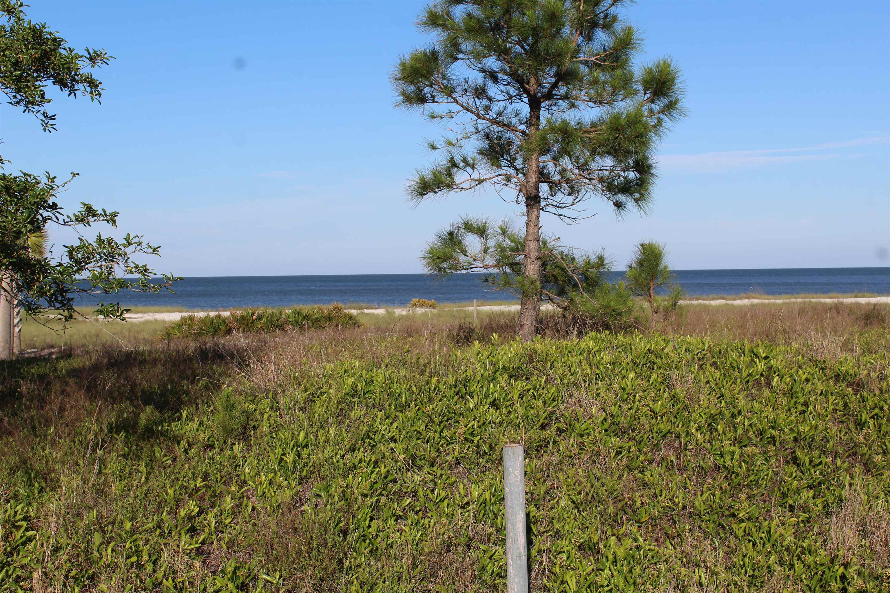 766 Bald Point Road, Alligator Point, Florida image 3