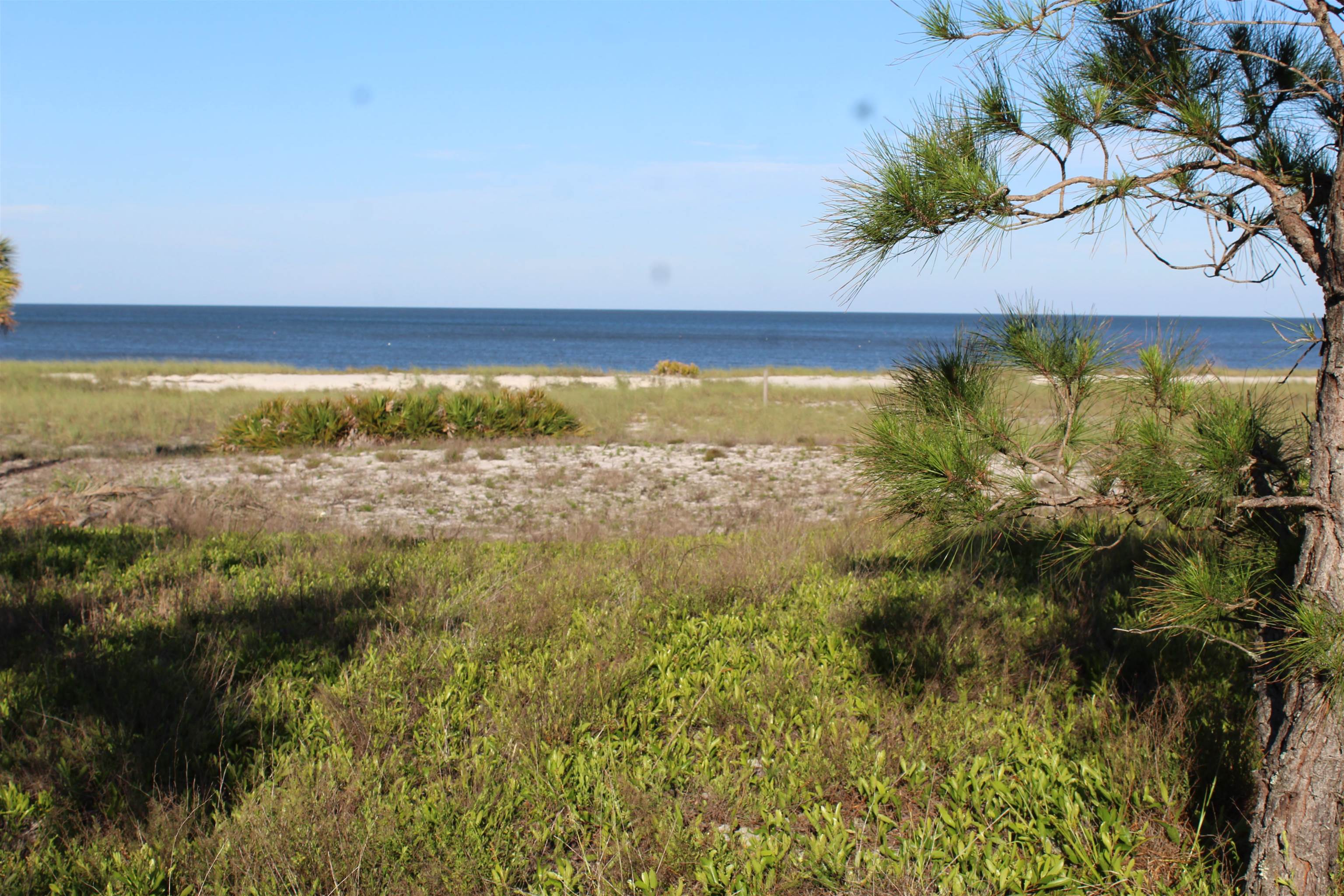 766 Bald Point Road, Alligator Point, Florida image 4