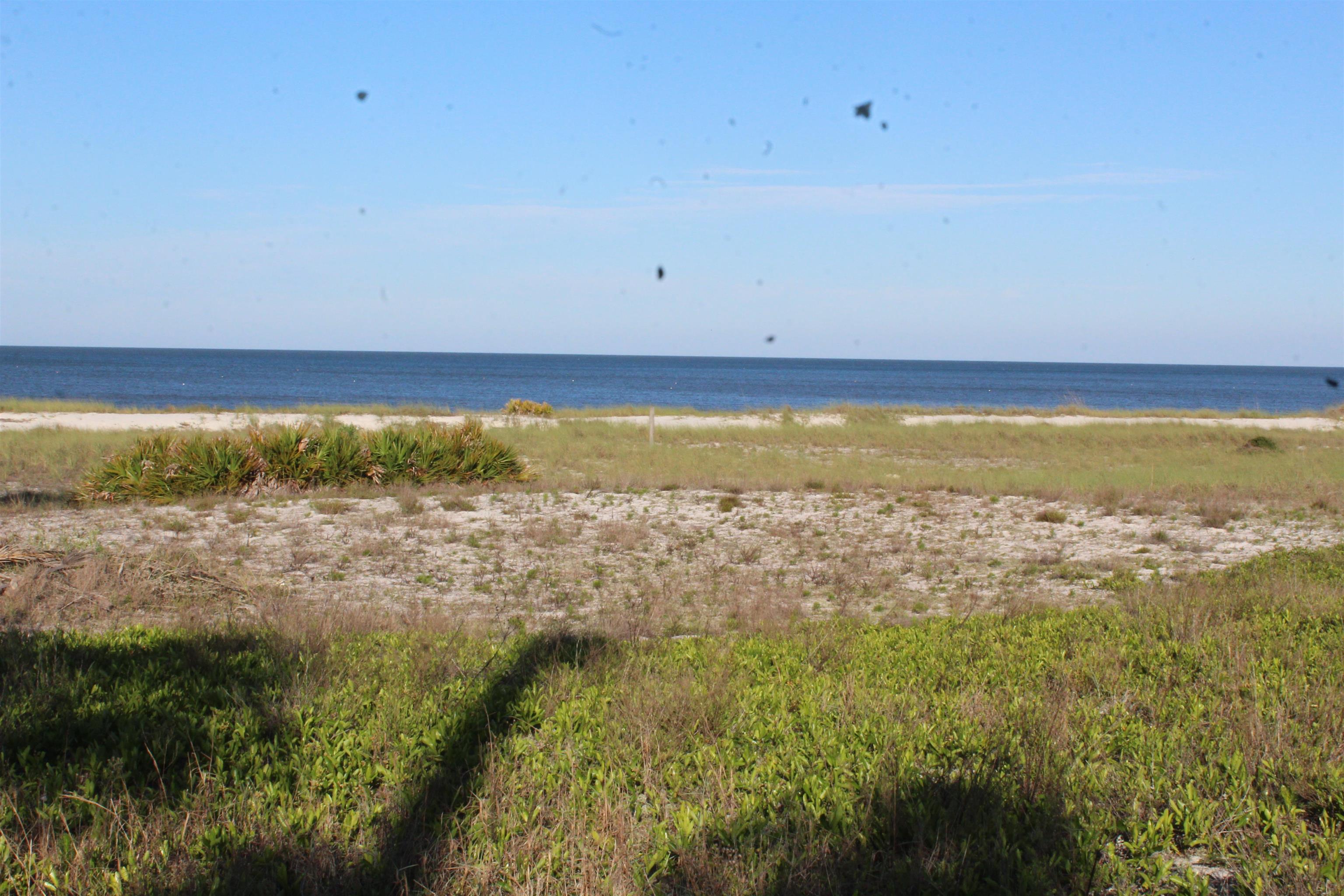 766 Bald Point Road, Alligator Point, Florida image 7