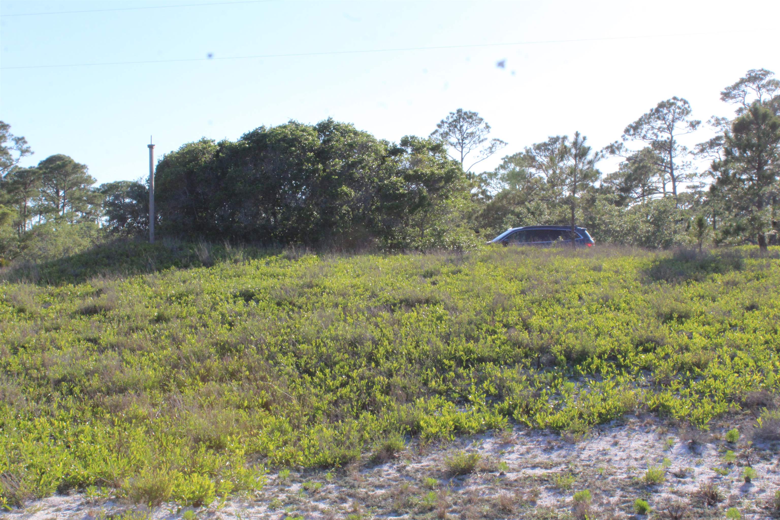 766 Bald Point Road, Alligator Point, Florida image 9