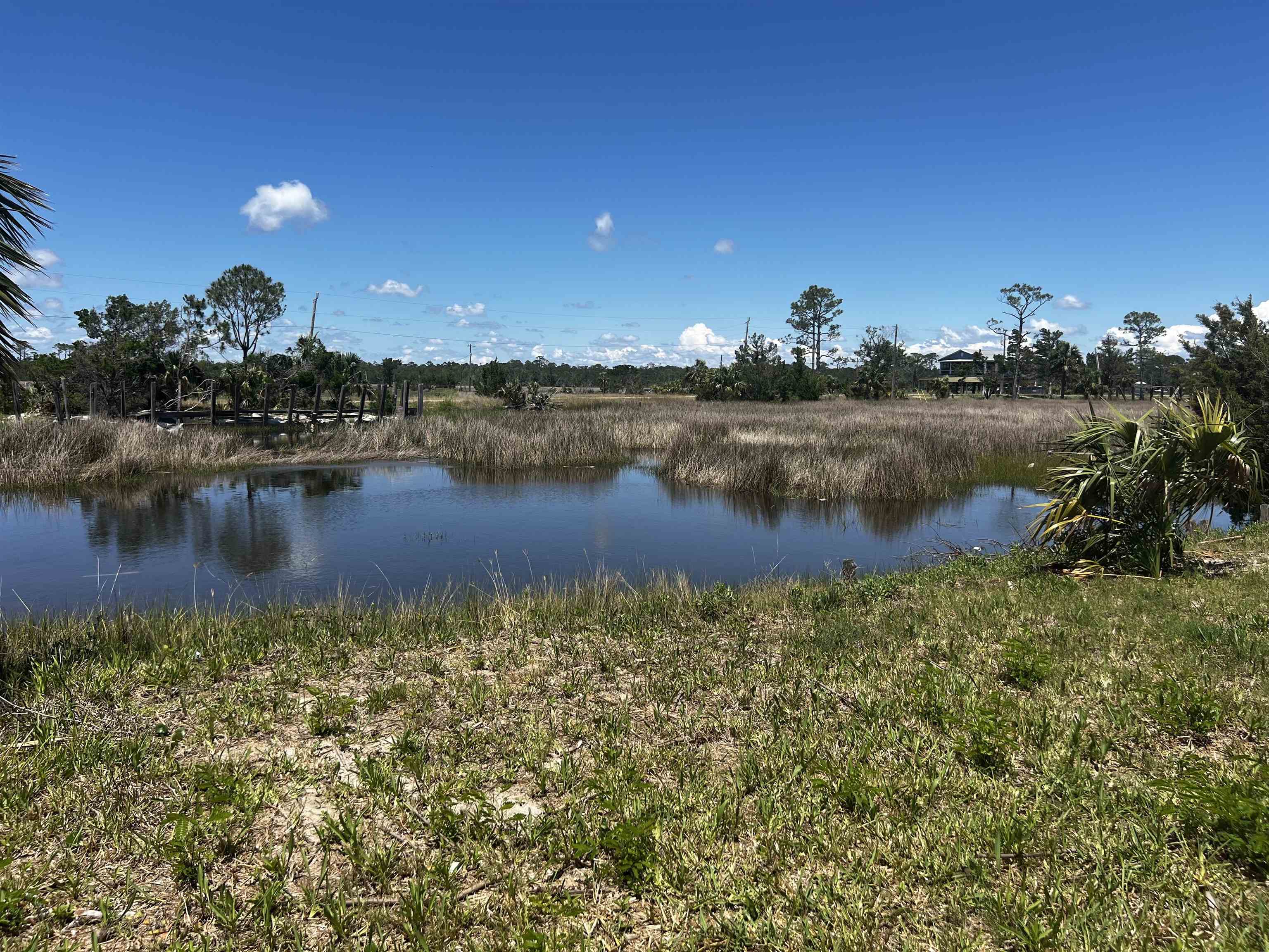1821 Ezell Beach Road, Keaton Beach, Florida image 2