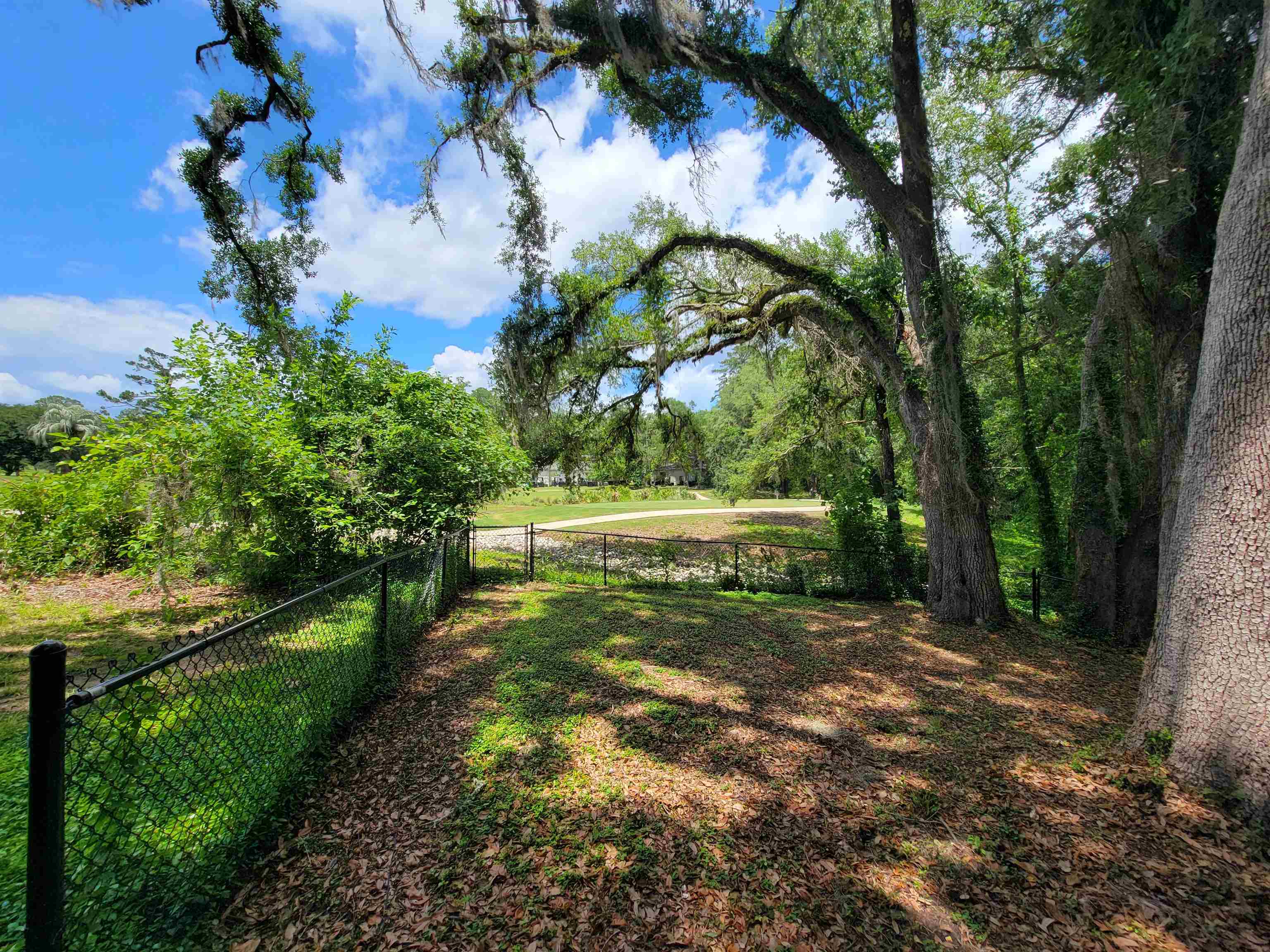 1998 Larette Drive #A, Tallahassee, Texas image 18
