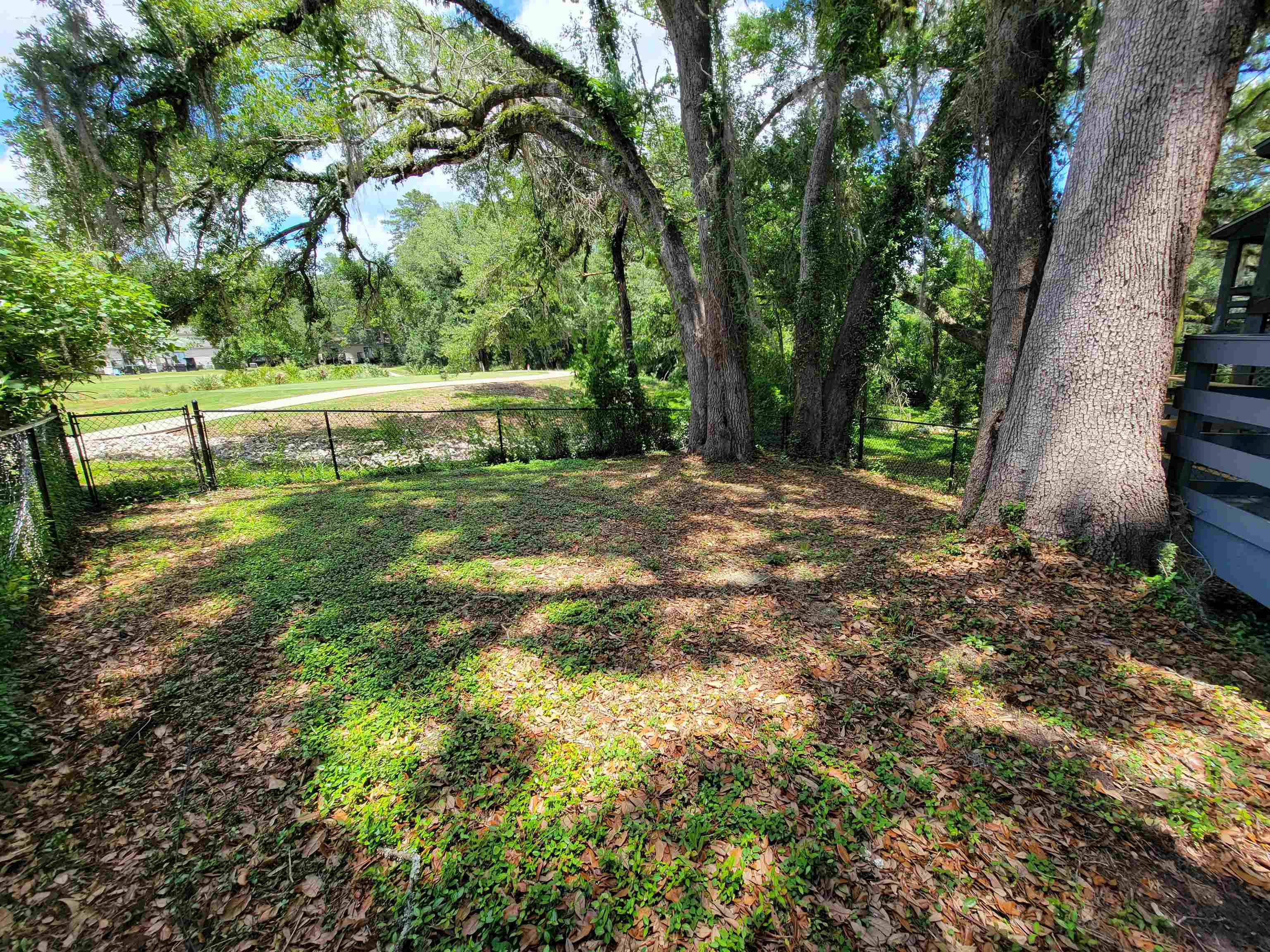 1998 Larette Drive #A, Tallahassee, Texas image 20