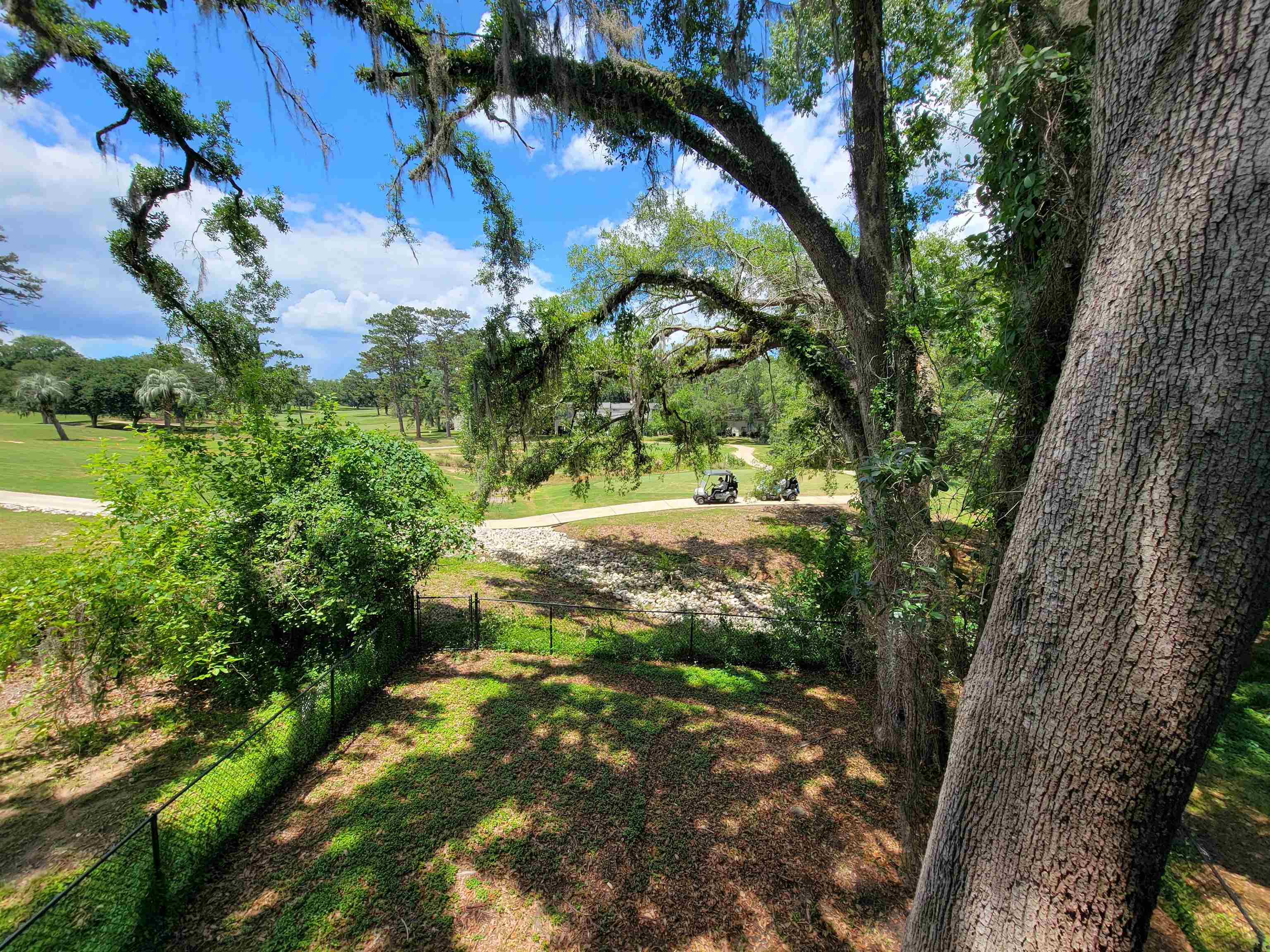 1998 Larette Drive #A, Tallahassee, Texas image 29