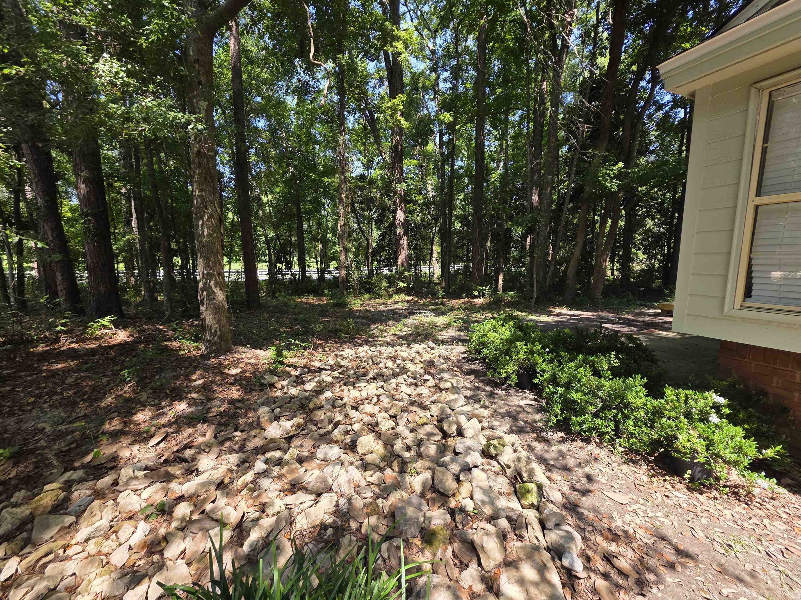 9369 Buck Haven Trail, Tallahassee, Texas image 48