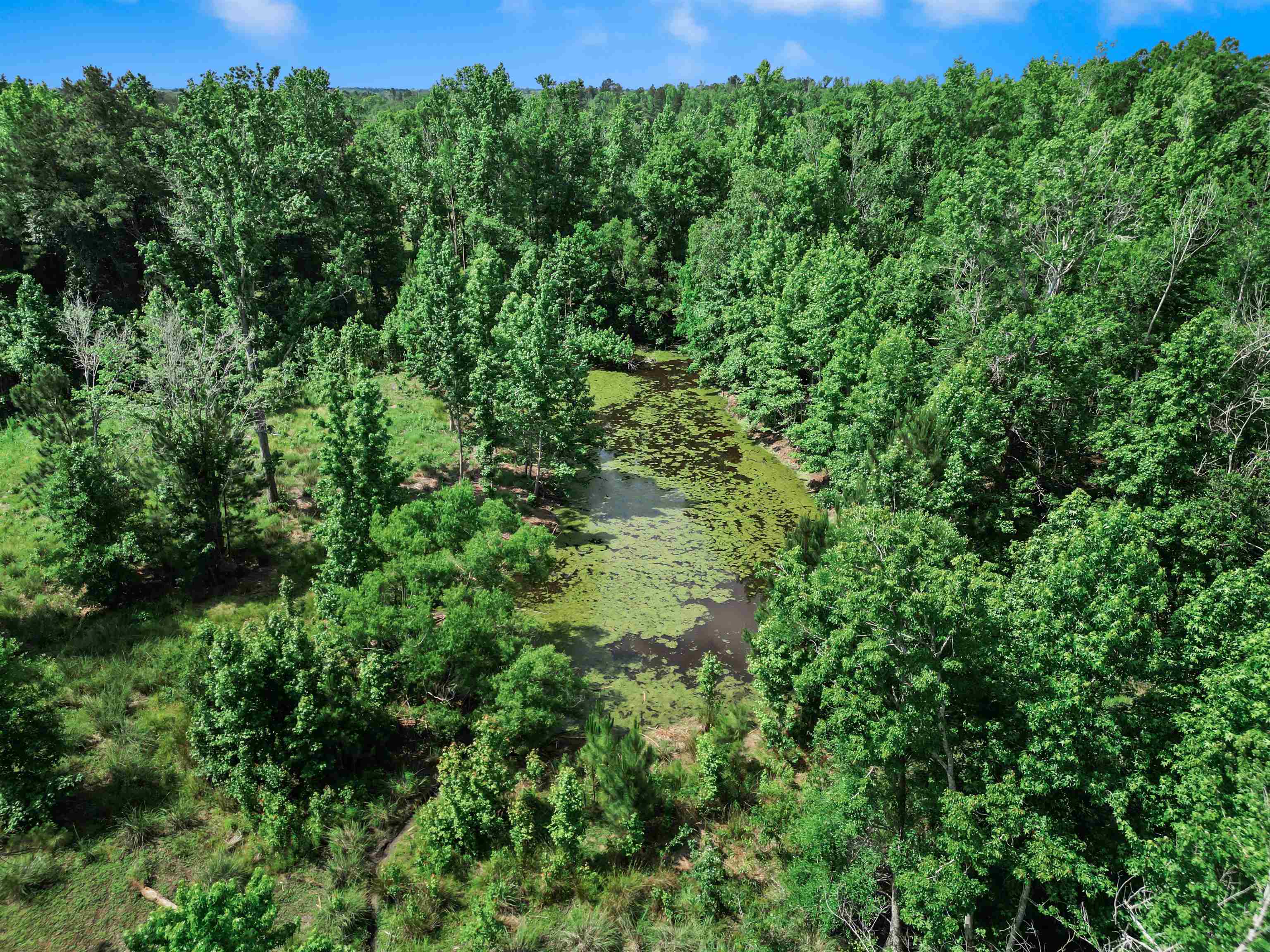 13761 NW Pea Ridge Road, Bristol, Texas image 35