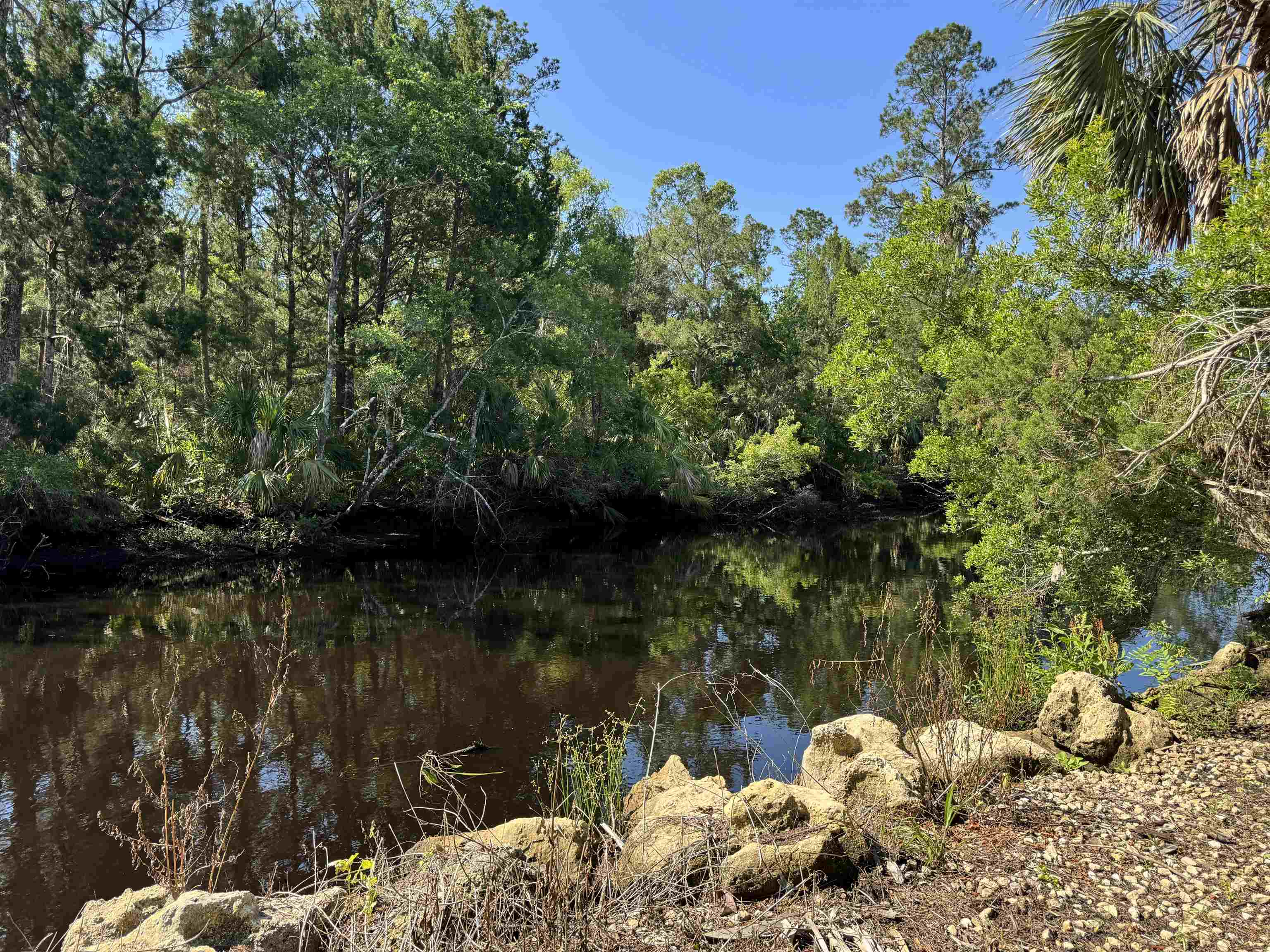 4350 Econfina River Road, Lamont, Florida image 11