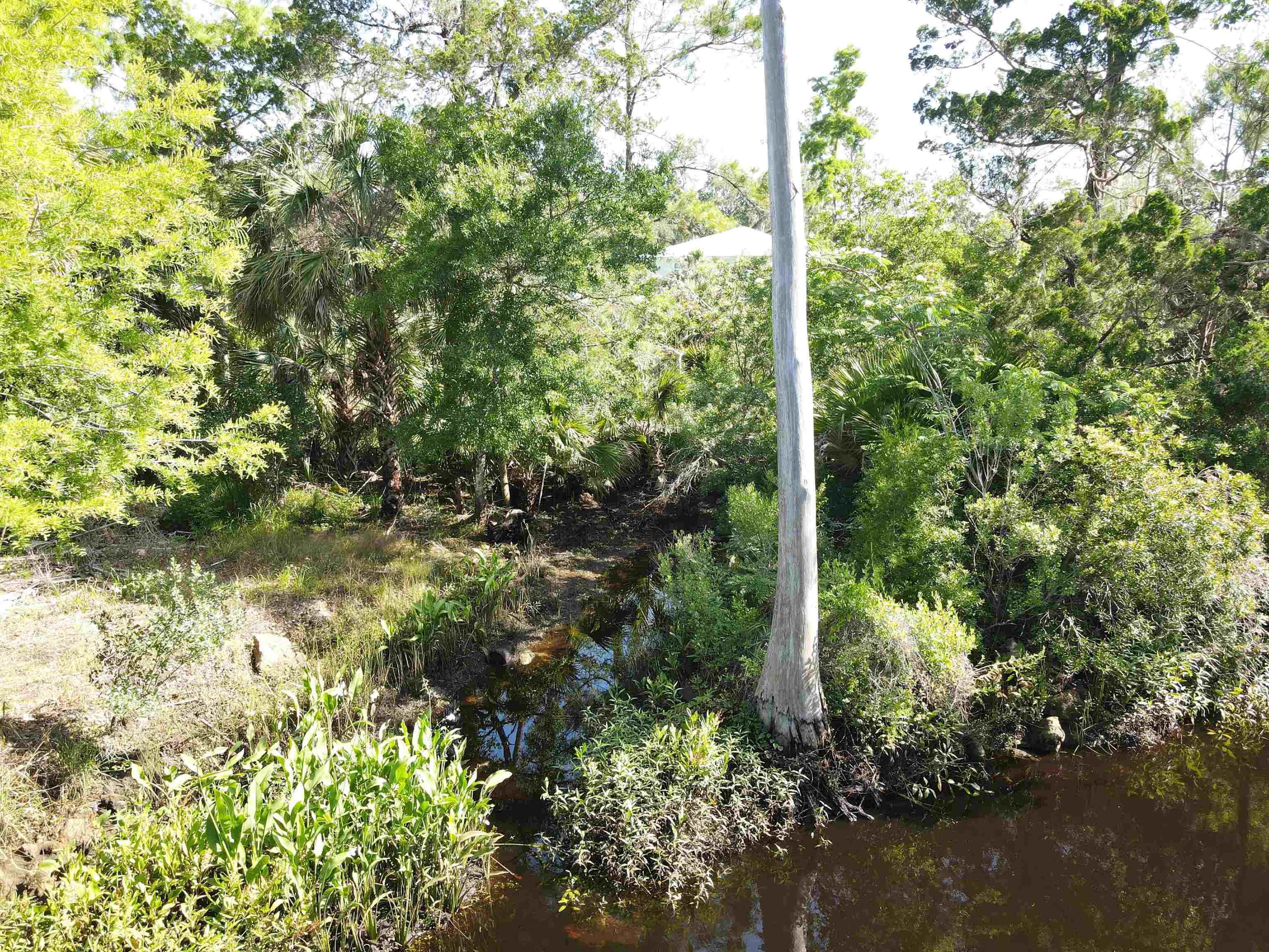 4350 Econfina River Road, Lamont, Florida image 12