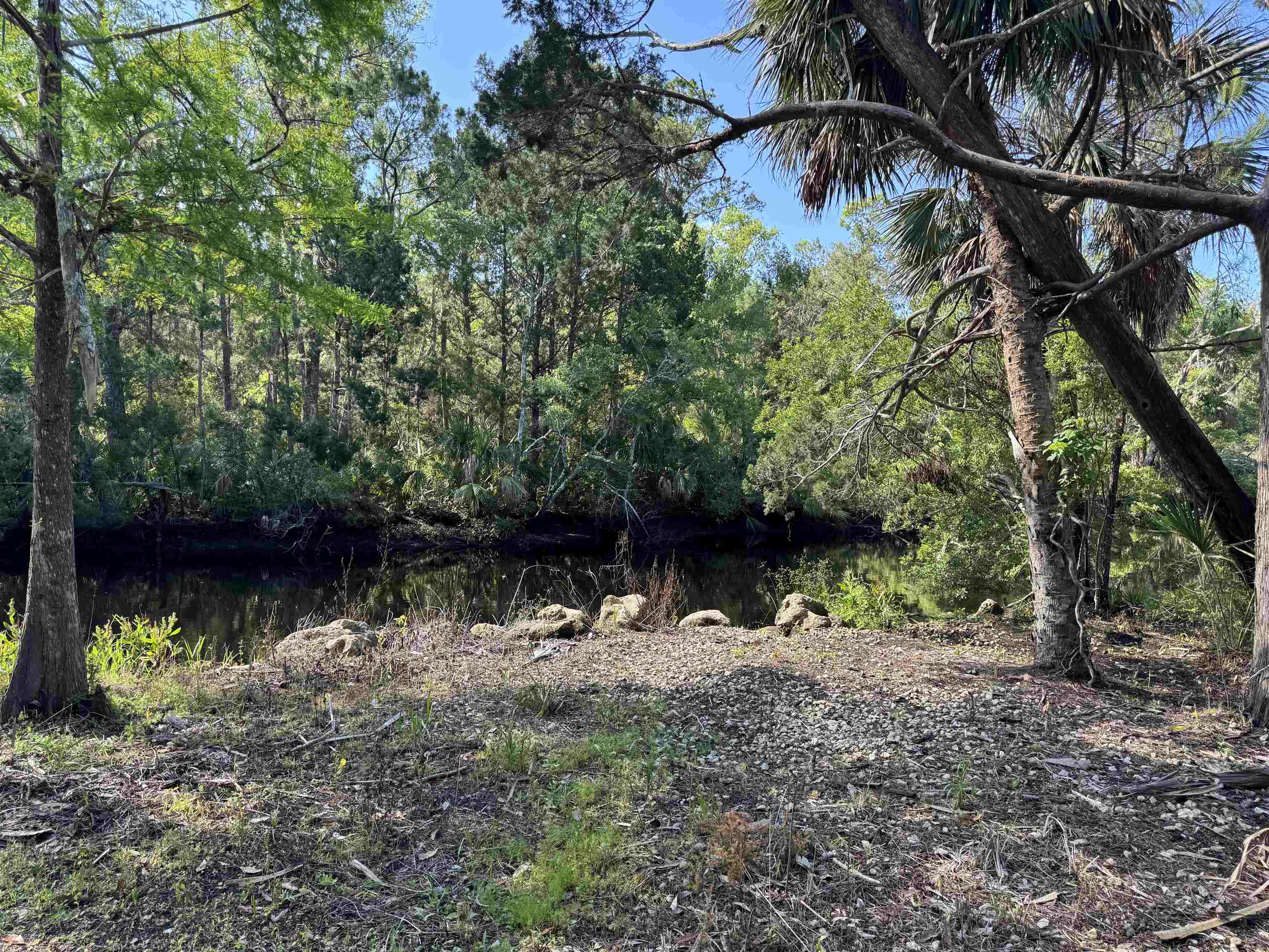 4350 Econfina River Road, Lamont, Florida image 13