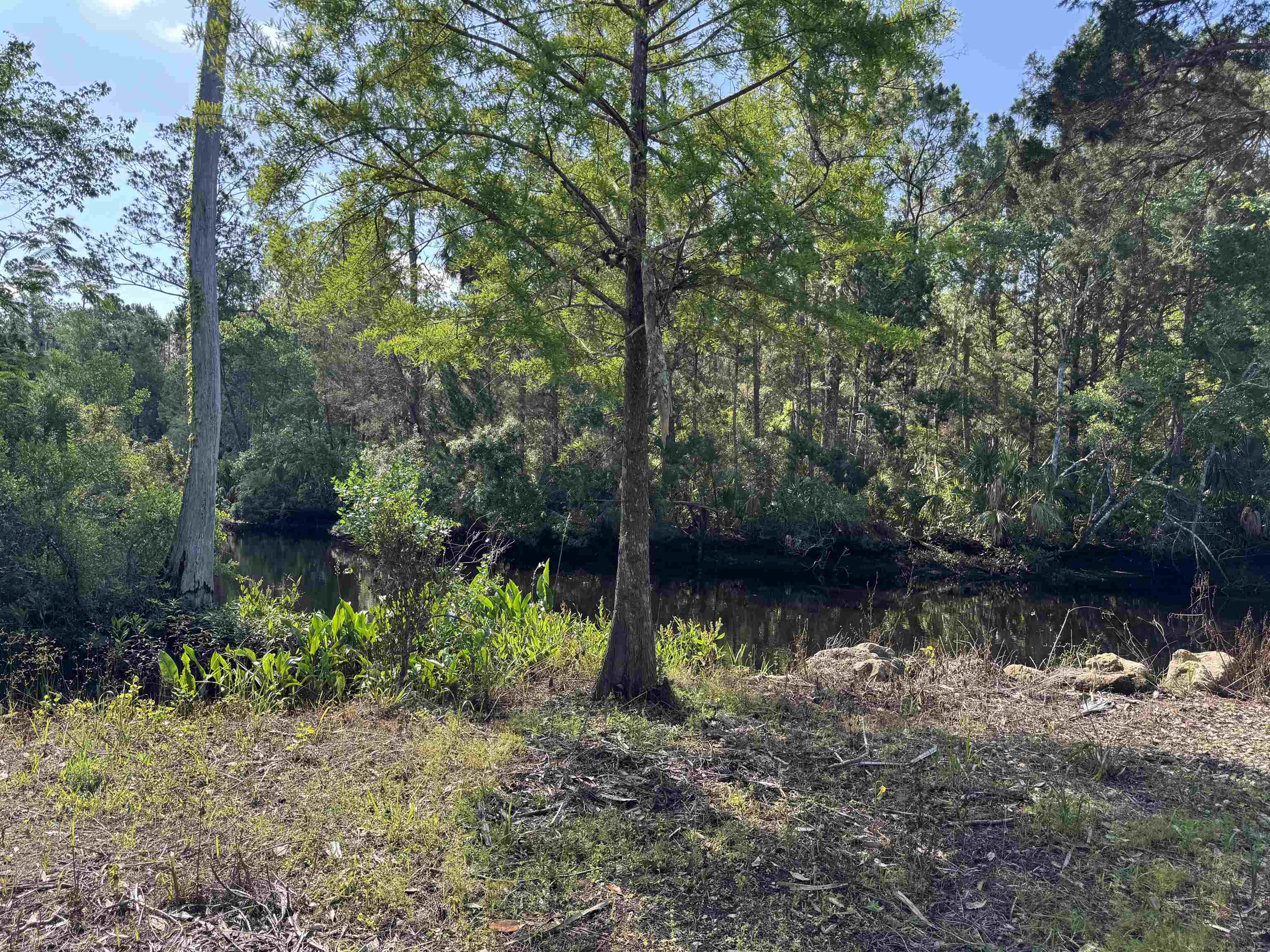 4350 Econfina River Road, Lamont, Florida image 15