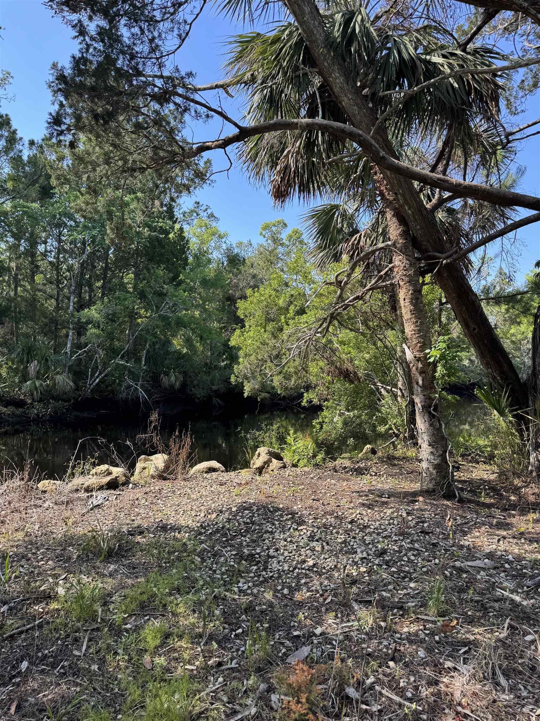4350 Econfina River Road, Lamont, Florida image 16