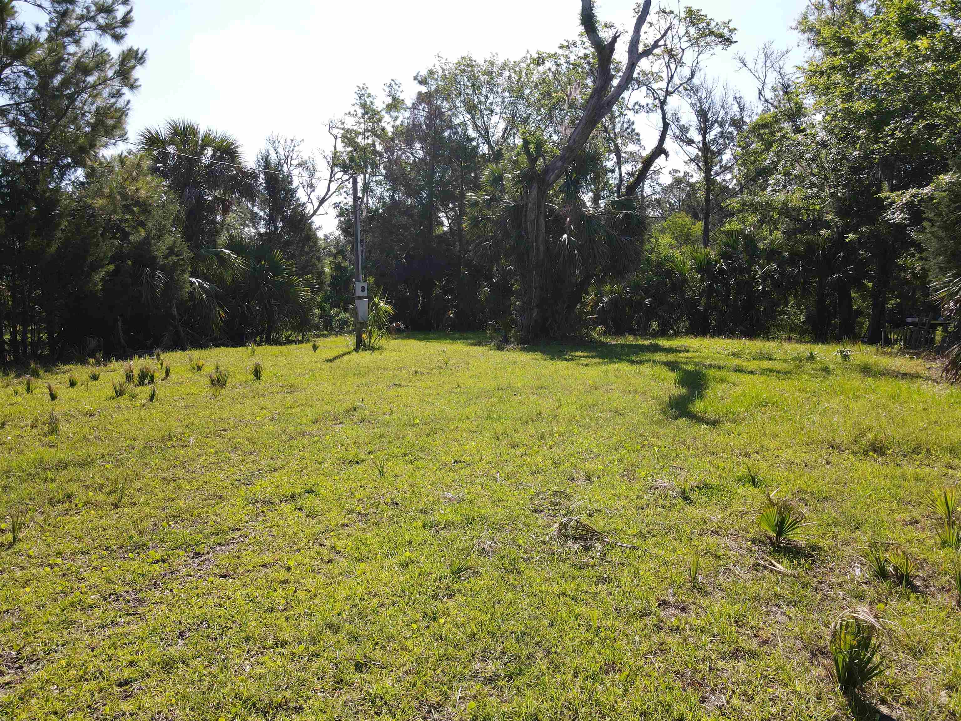 4350 Econfina River Road, Lamont, Florida image 23