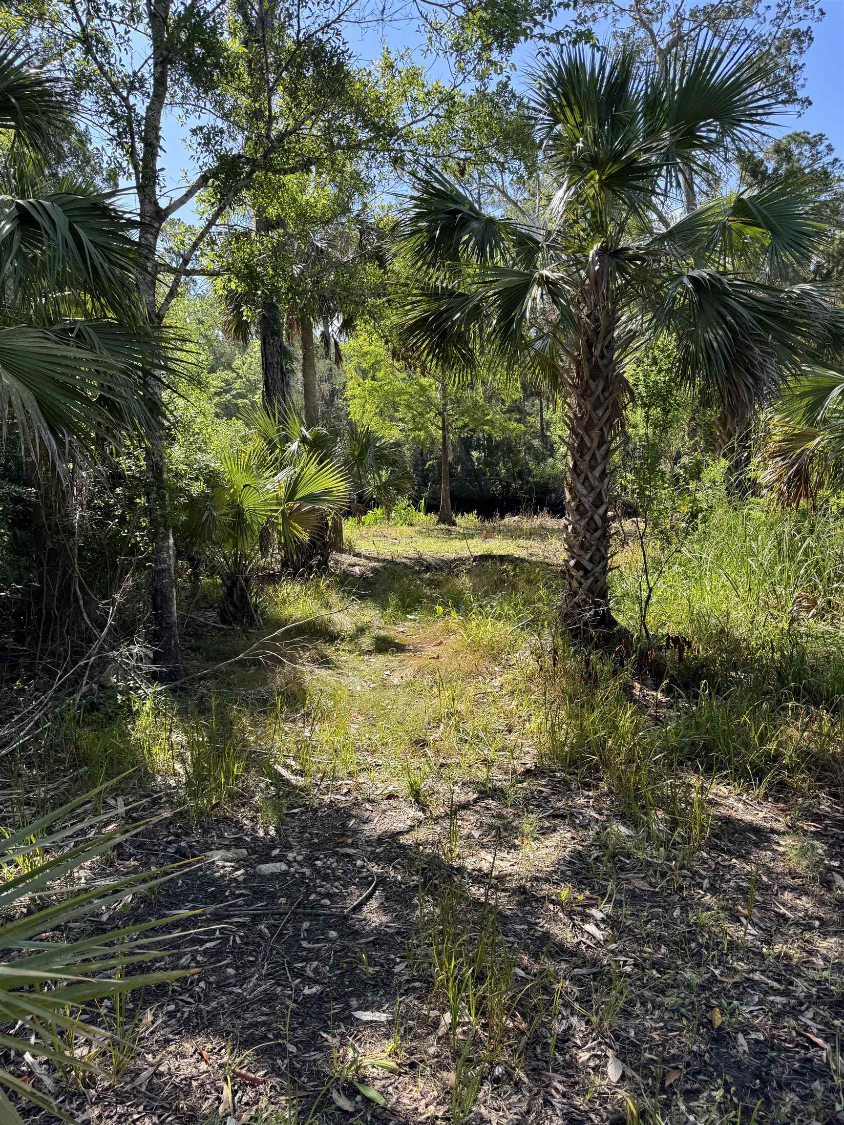 4350 Econfina River Road, Lamont, Florida image 24