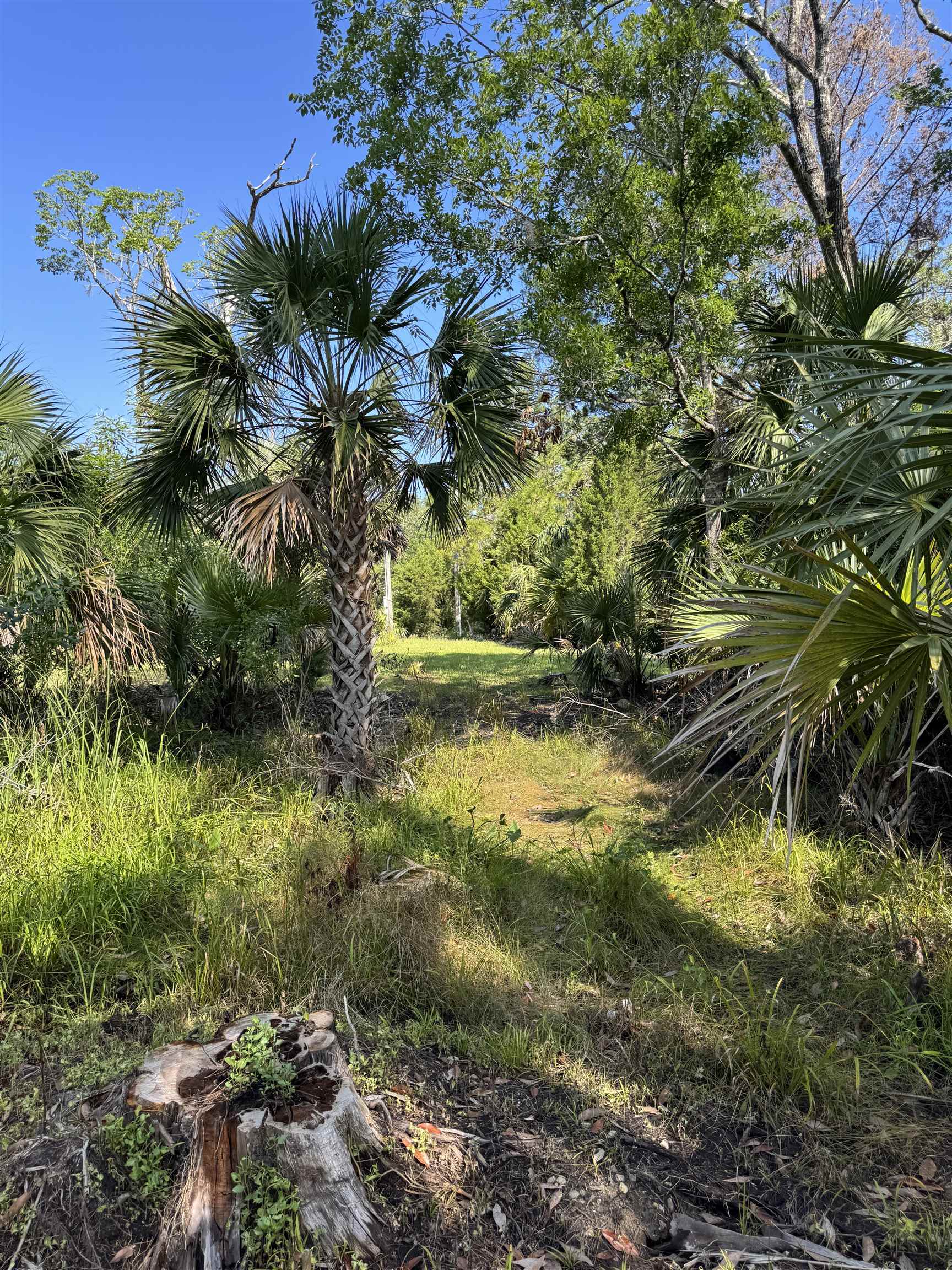 4350 Econfina River Road, Lamont, Florida image 25