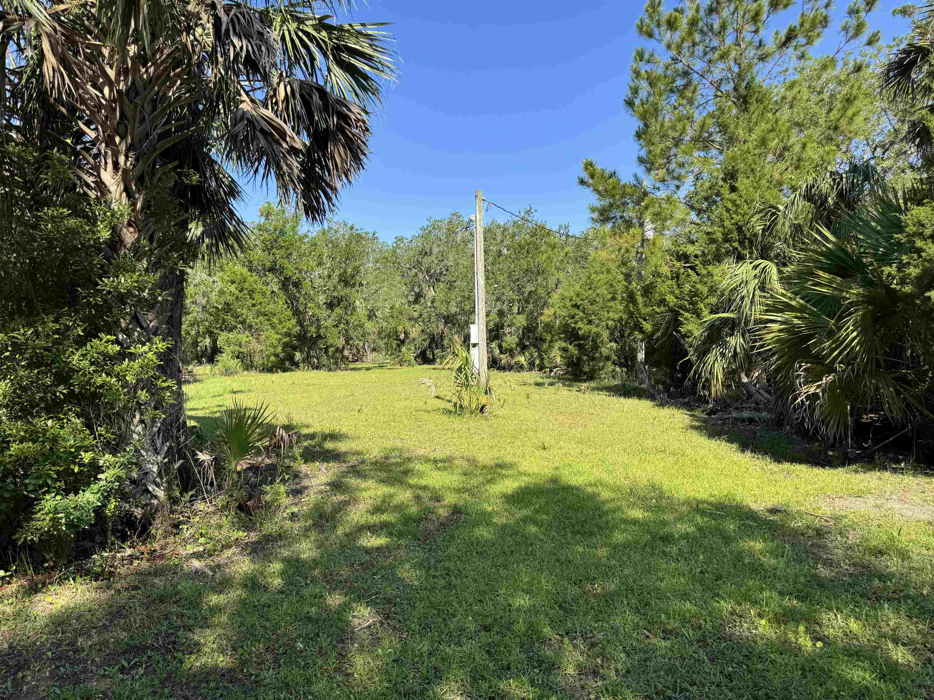 4350 Econfina River Road, Lamont, Florida image 26