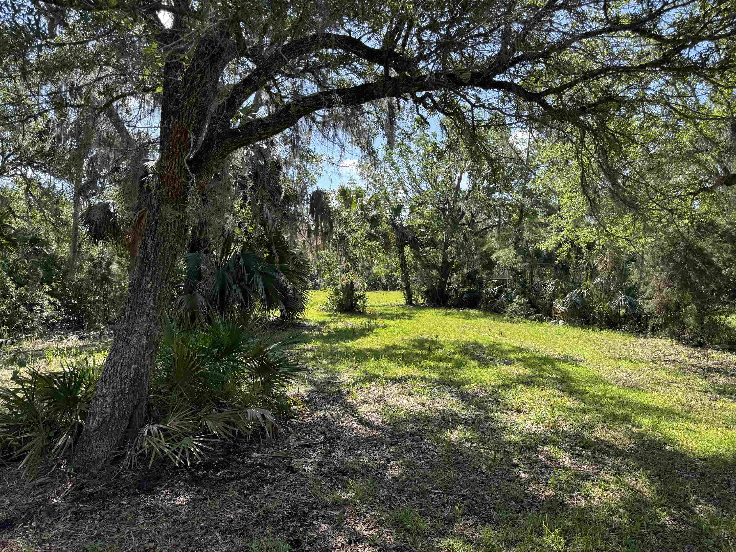 4350 Econfina River Road, Lamont, Florida image 27