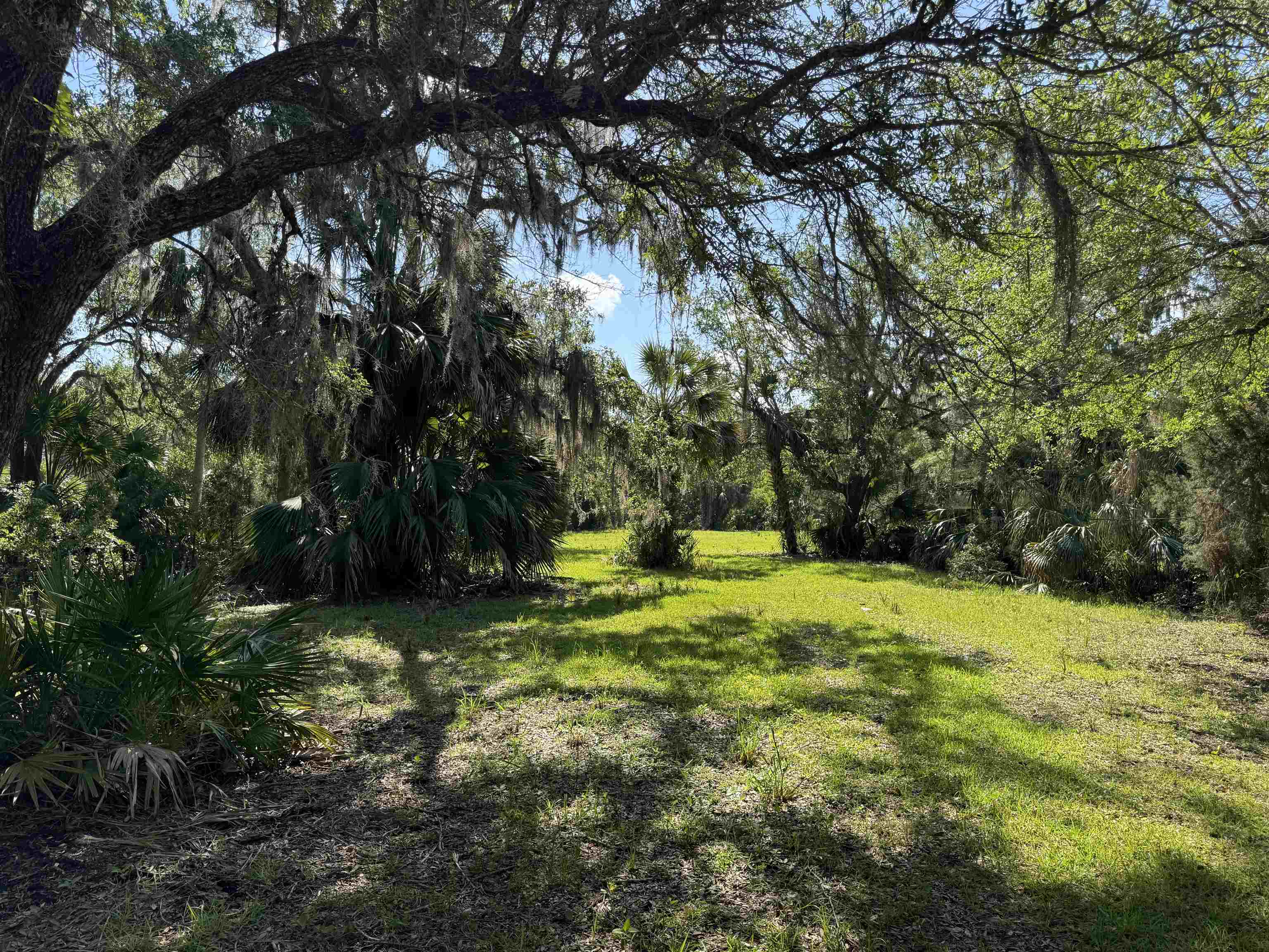 4350 Econfina River Road, Lamont, Florida image 28