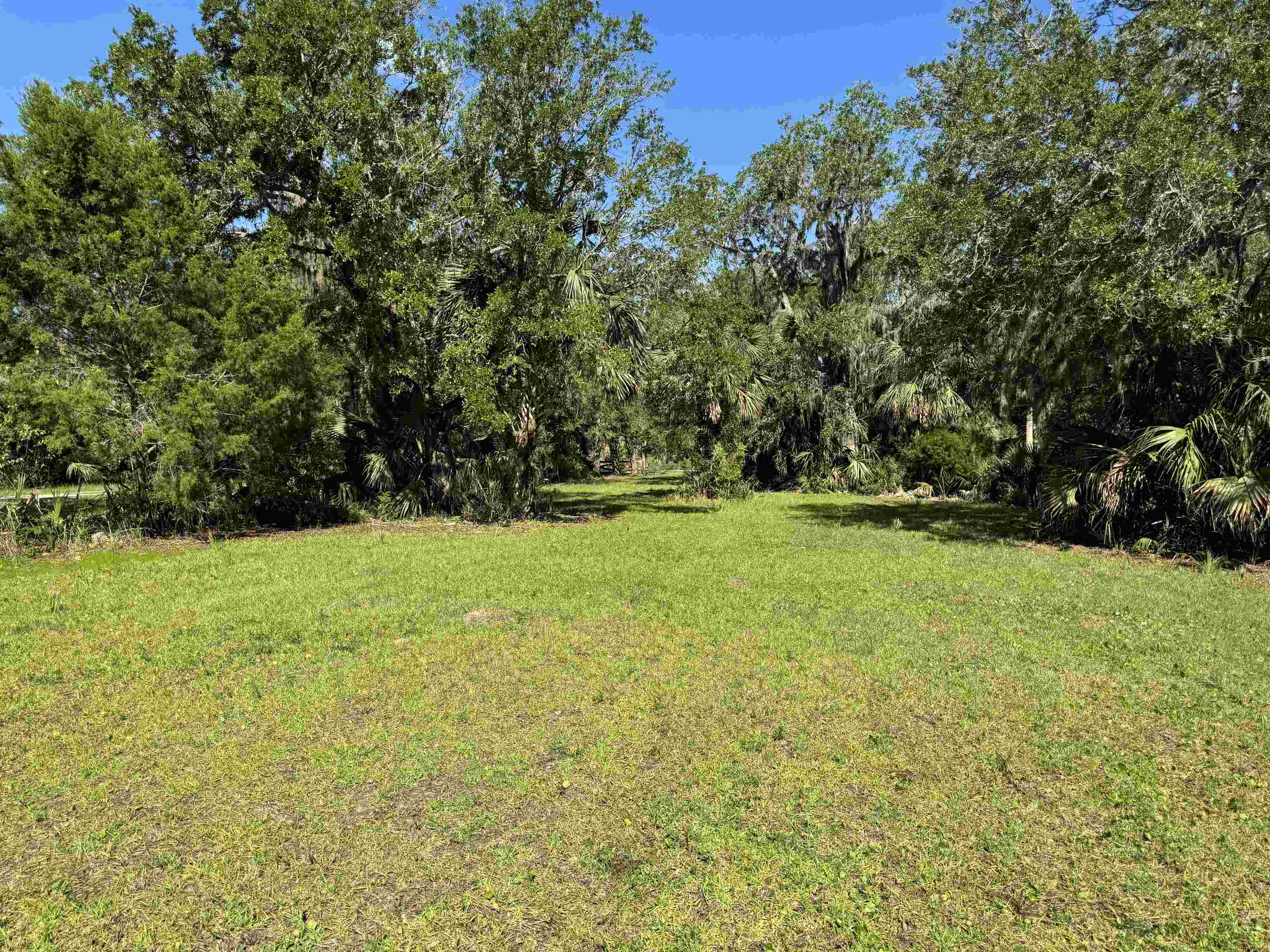 4350 Econfina River Road, Lamont, Florida image 31