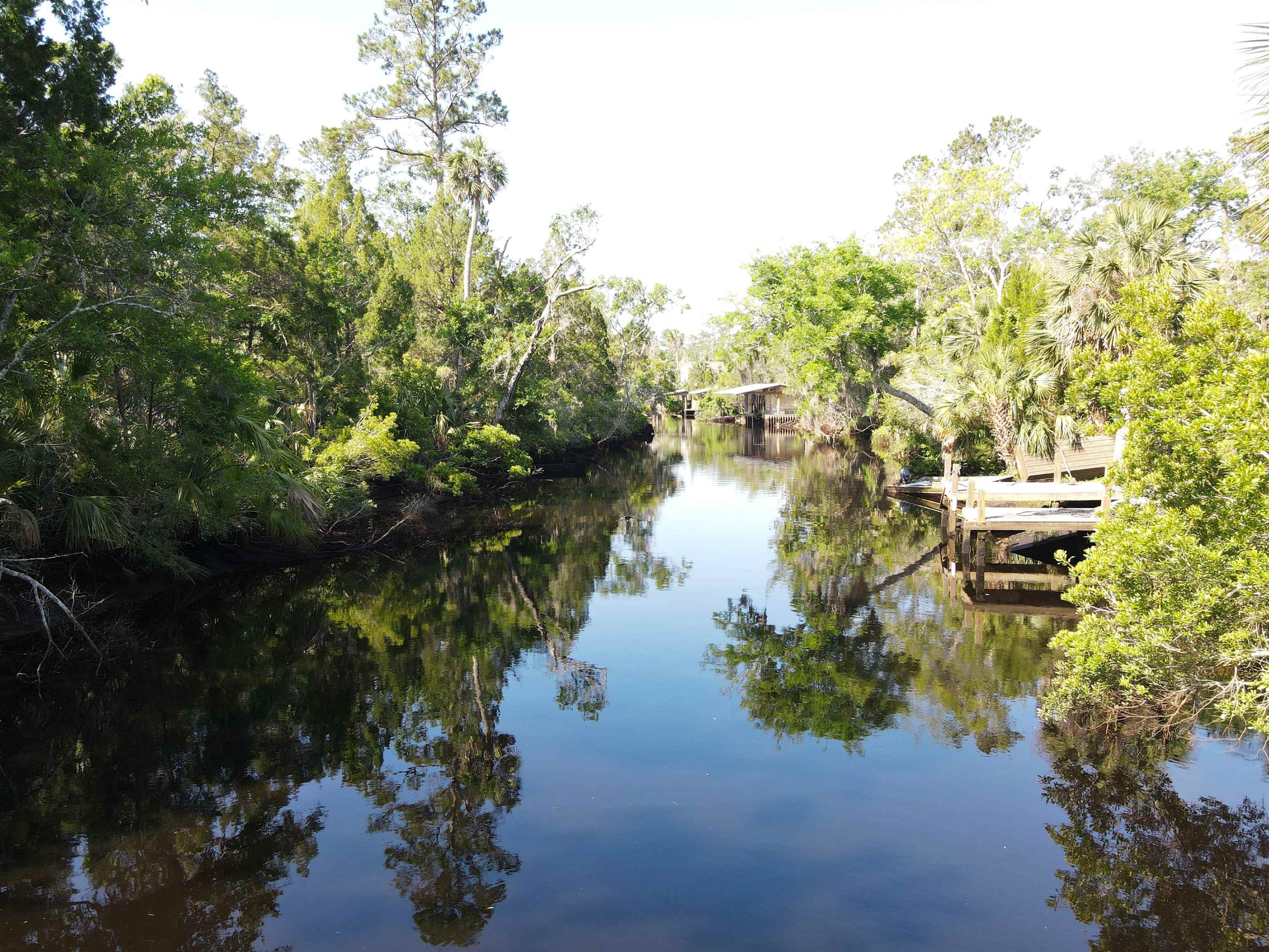 4350 Econfina River Road, Lamont, Florida image 7