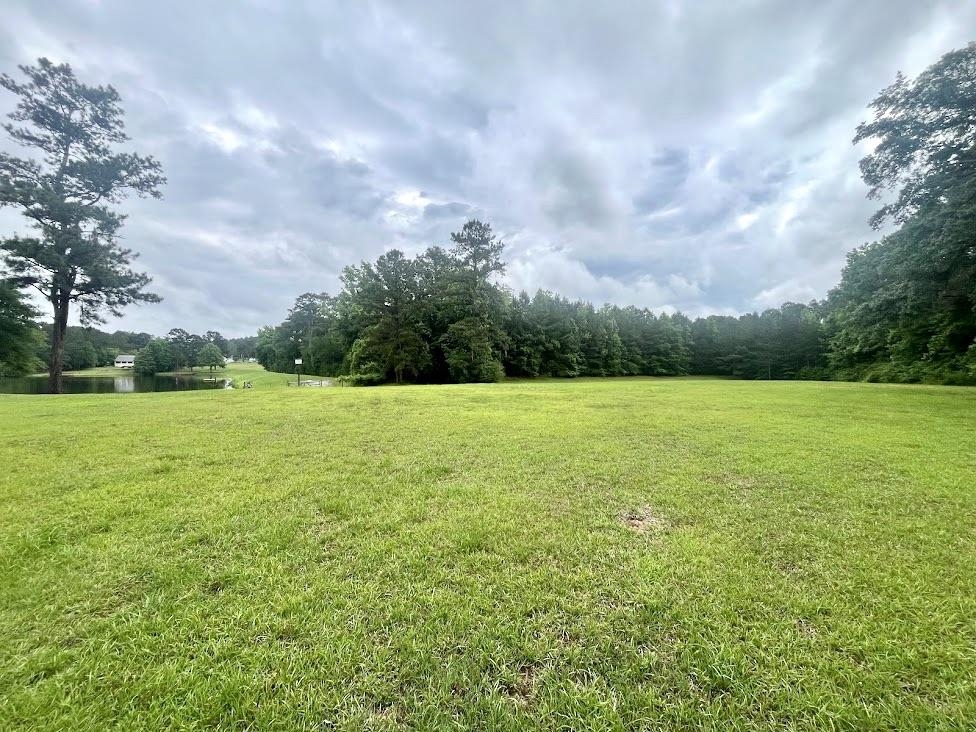 420 Stillwater Lane, Havana, Florida image 2