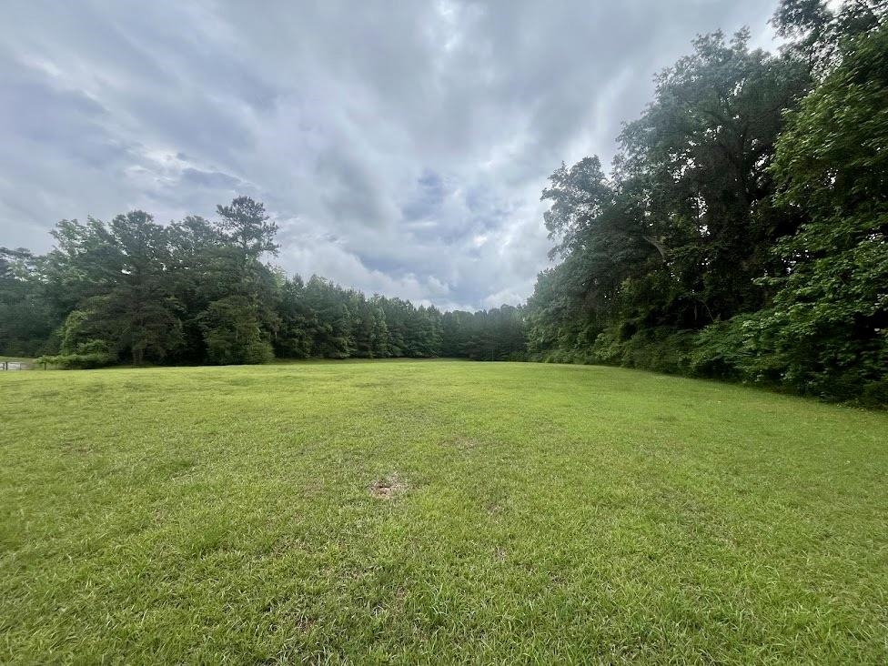 420 Stillwater Lane, Havana, Florida image 3