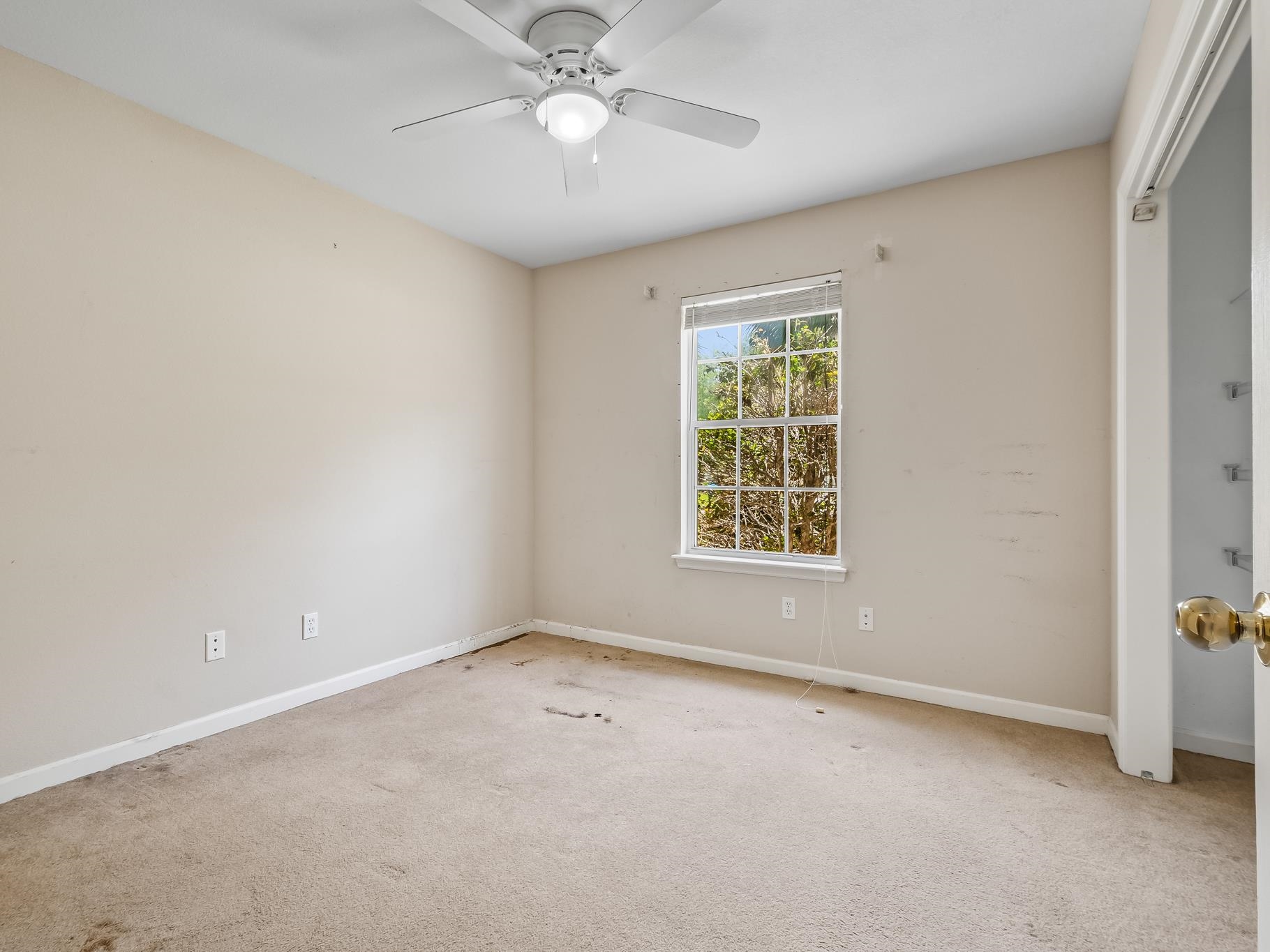 7 Farrier Lane, Crawfordville, Florida image 28