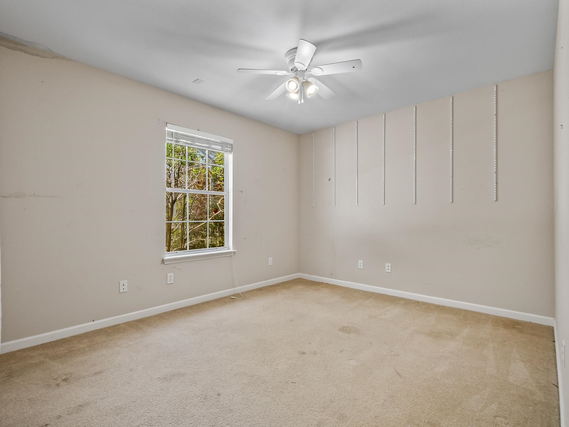 7 Farrier Lane, Crawfordville, Florida image 30