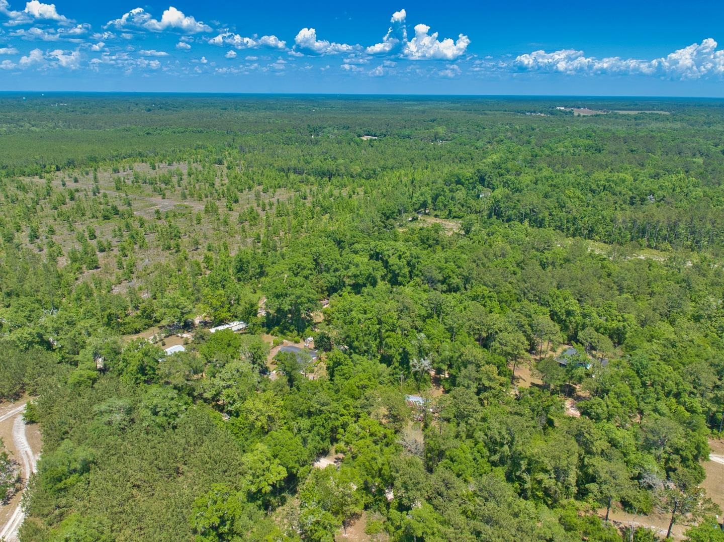 Donaldson Williams Road, Crawfordville, Florida image 1