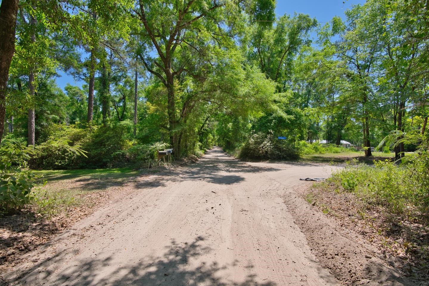 Donaldson Williams Road, Crawfordville, Florida image 10