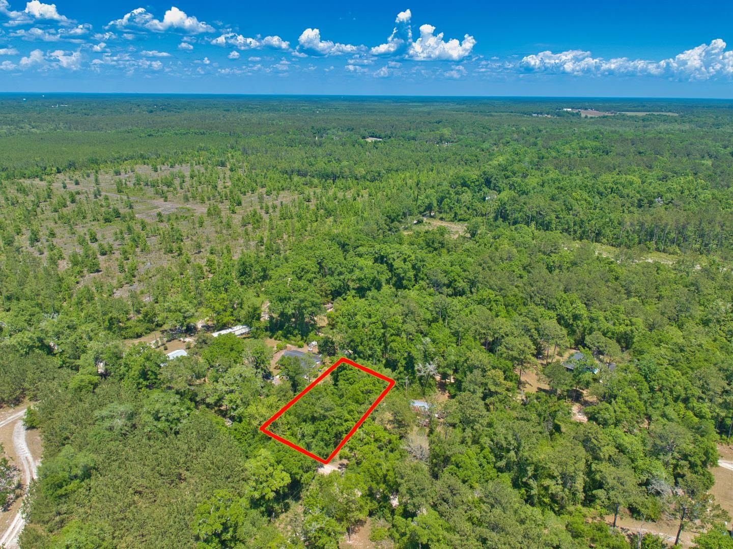 Donaldson Williams Road, Crawfordville, Florida image 2