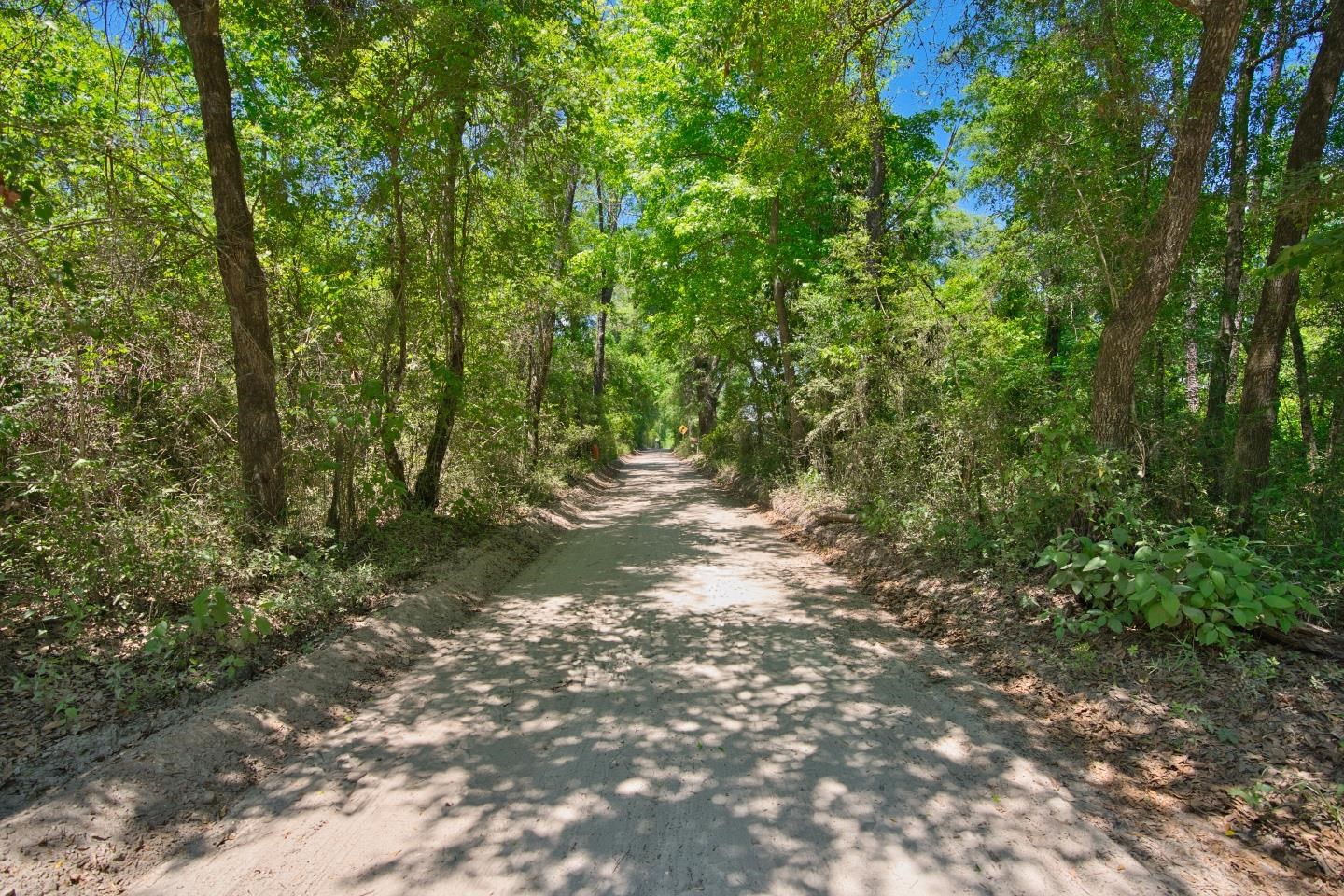 Donaldson Williams Road, Crawfordville, Florida image 3