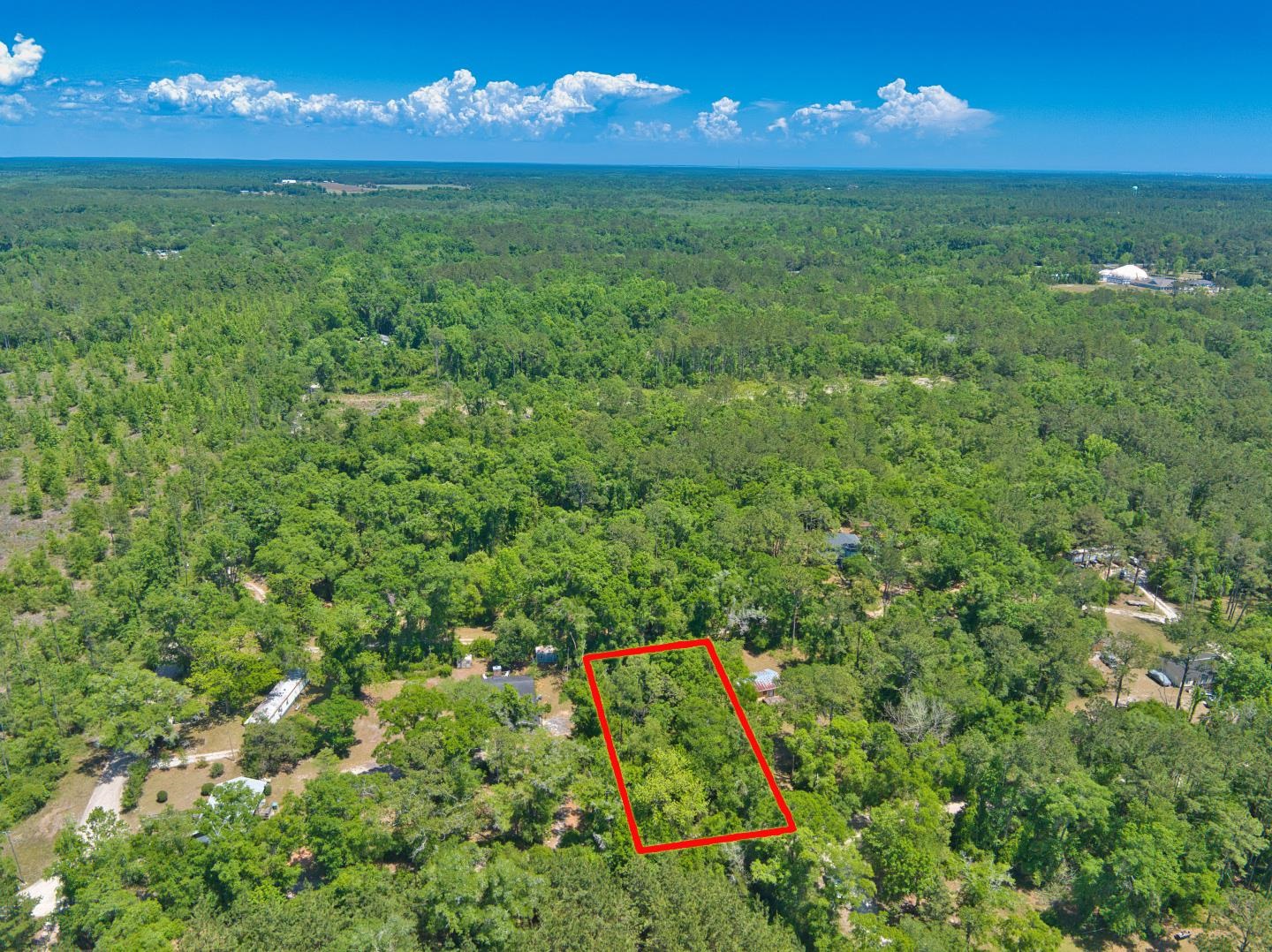 Donaldson Williams Road, Crawfordville, Florida image 5