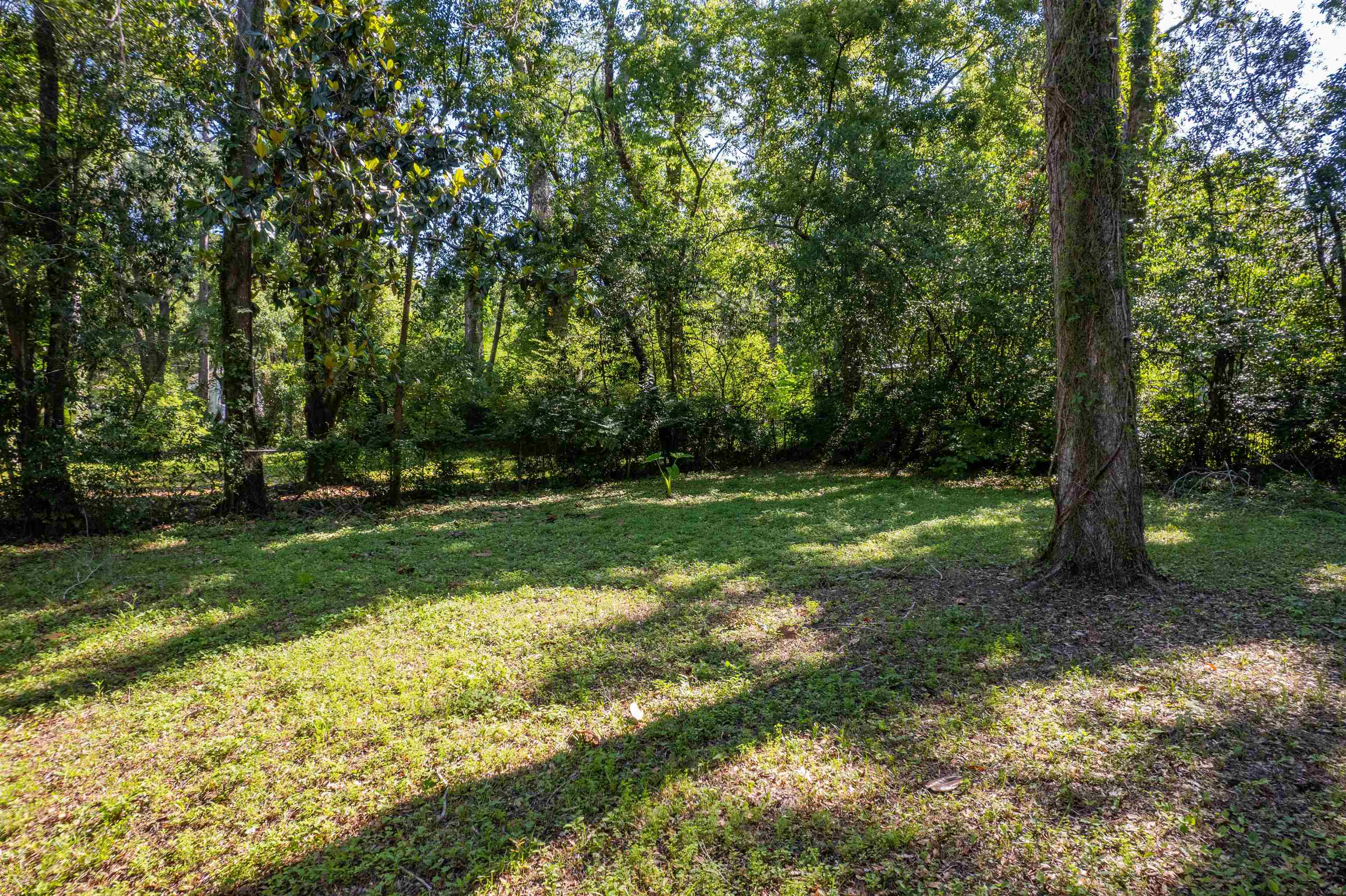 2311 Pontiac Drive, Tallahassee, Florida image 28