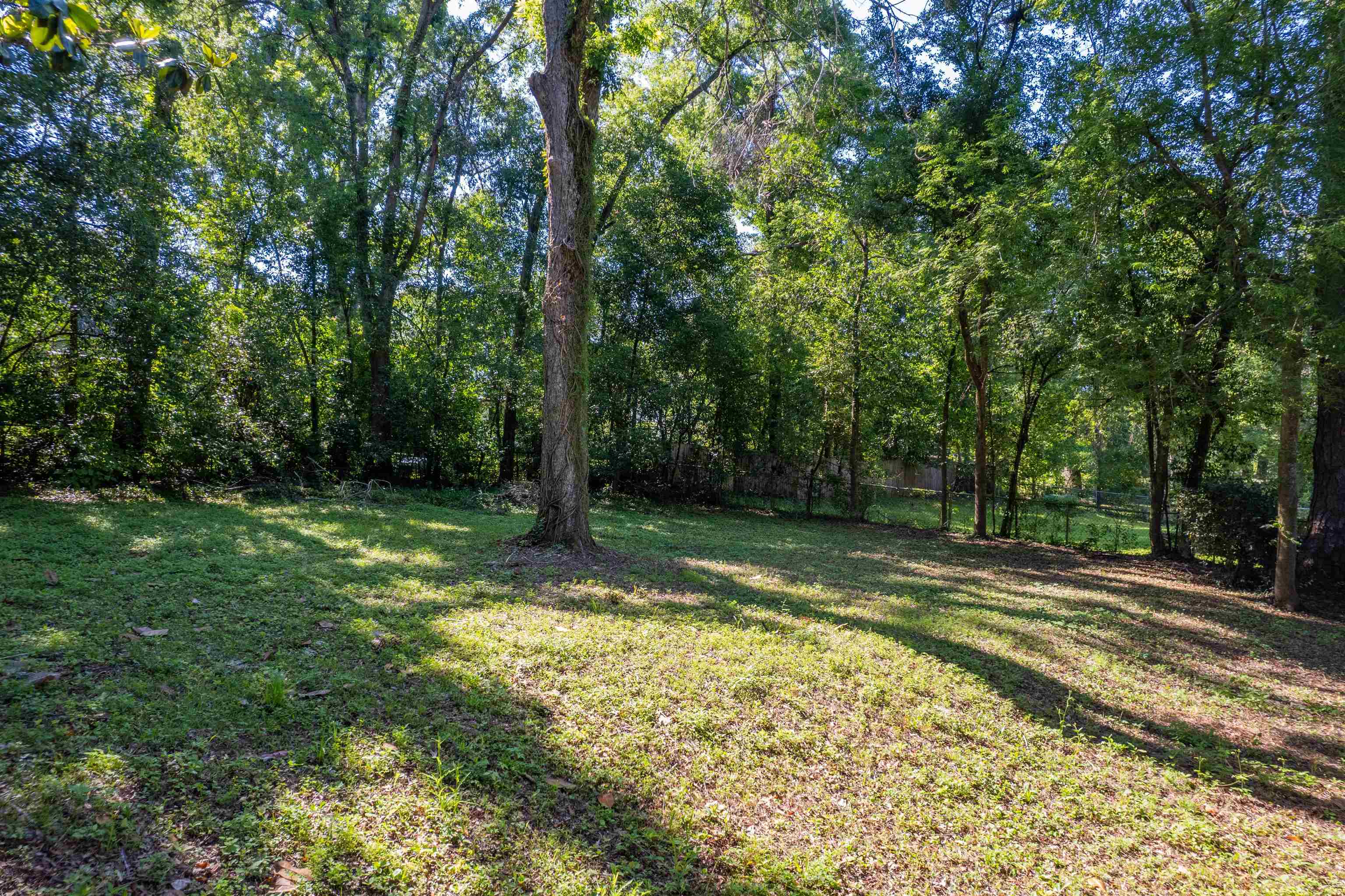 2311 Pontiac Drive, Tallahassee, Florida image 29