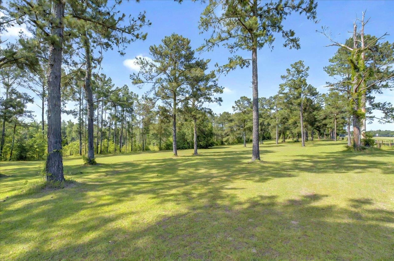 5975 Mount Pleasant Road, Quincy, Texas image 33