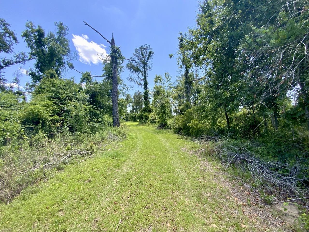 427 SW Casselberry Trail, Madison, Florida image 10