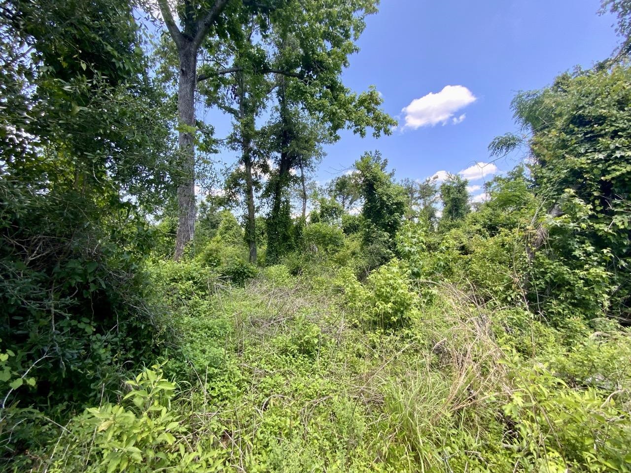 427 SW Casselberry Trail, Madison, Florida image 11