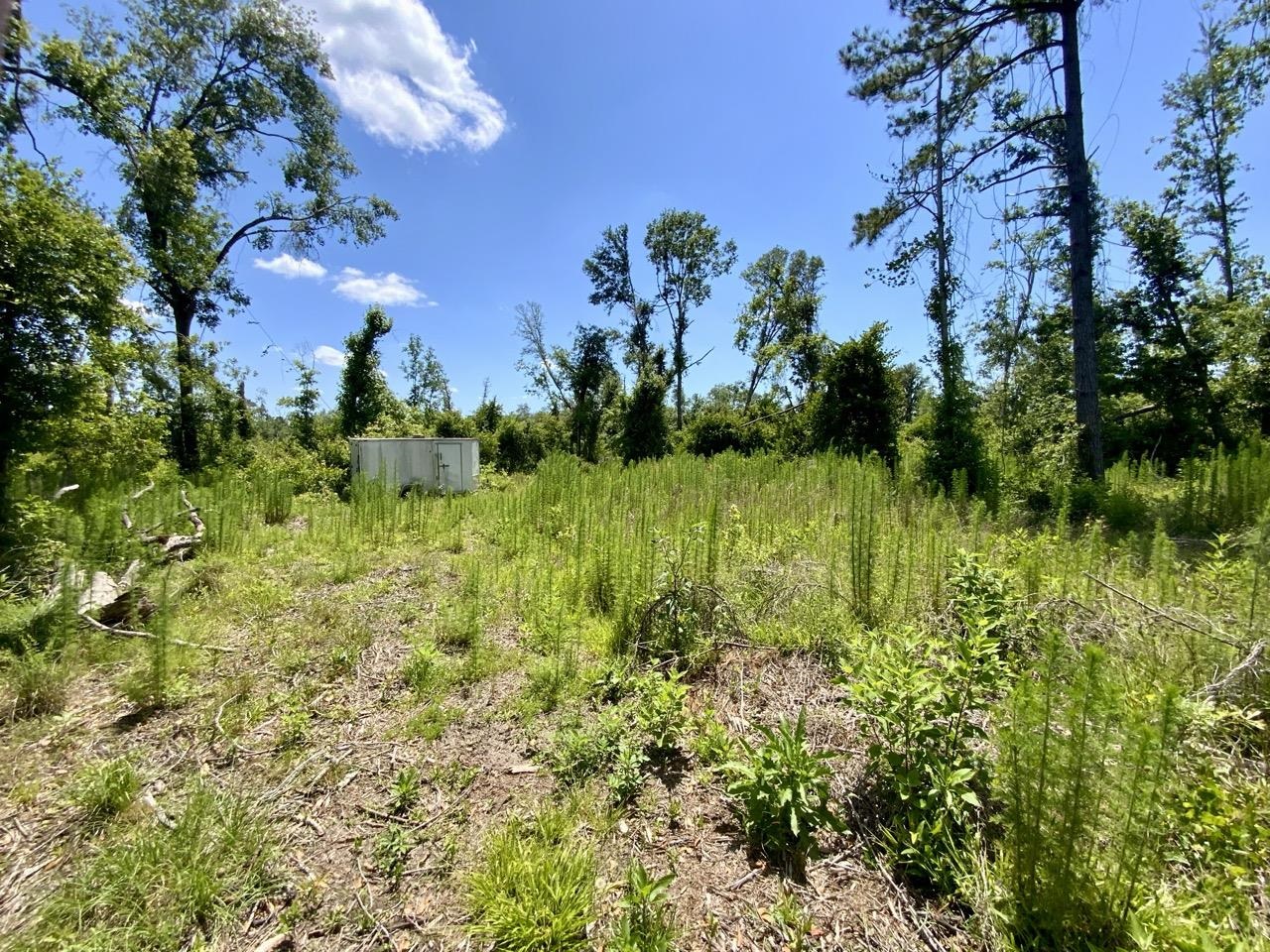 427 SW Castleberry Trail, Madison, Florida image 14