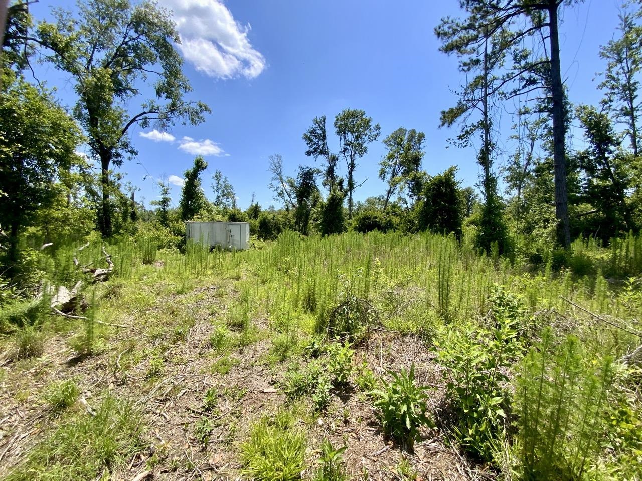 427 SW Casselberry Trail, Madison, Florida image 15