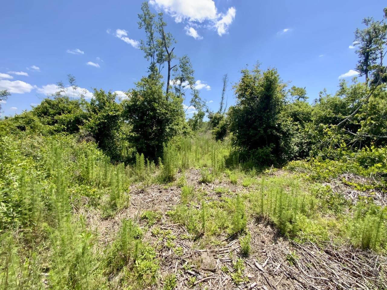 427 SW Casselberry Trail, Madison, Florida image 18