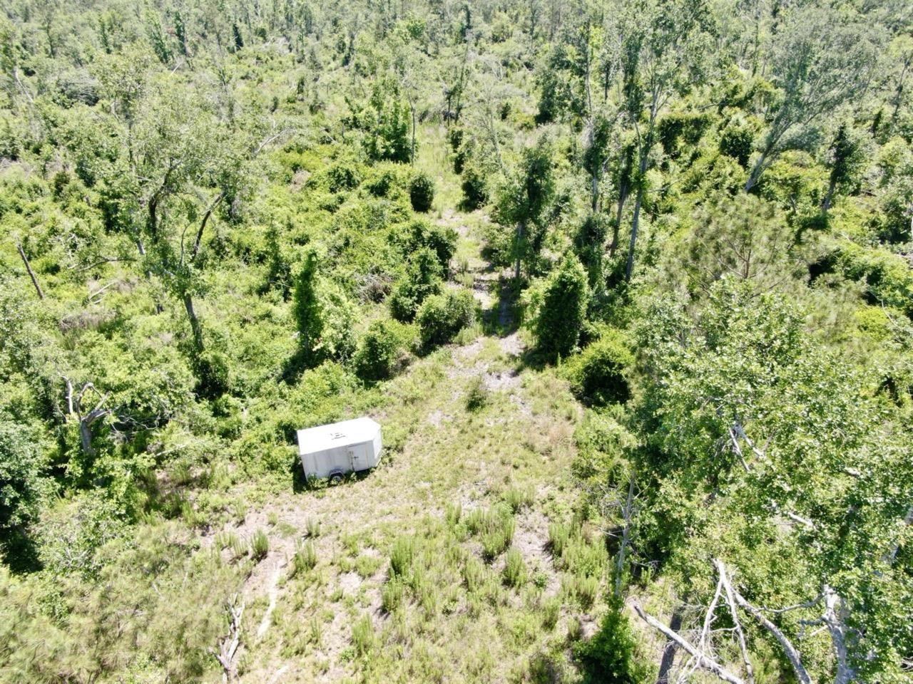 427 SW Casselberry Trail, Madison, Florida image 21